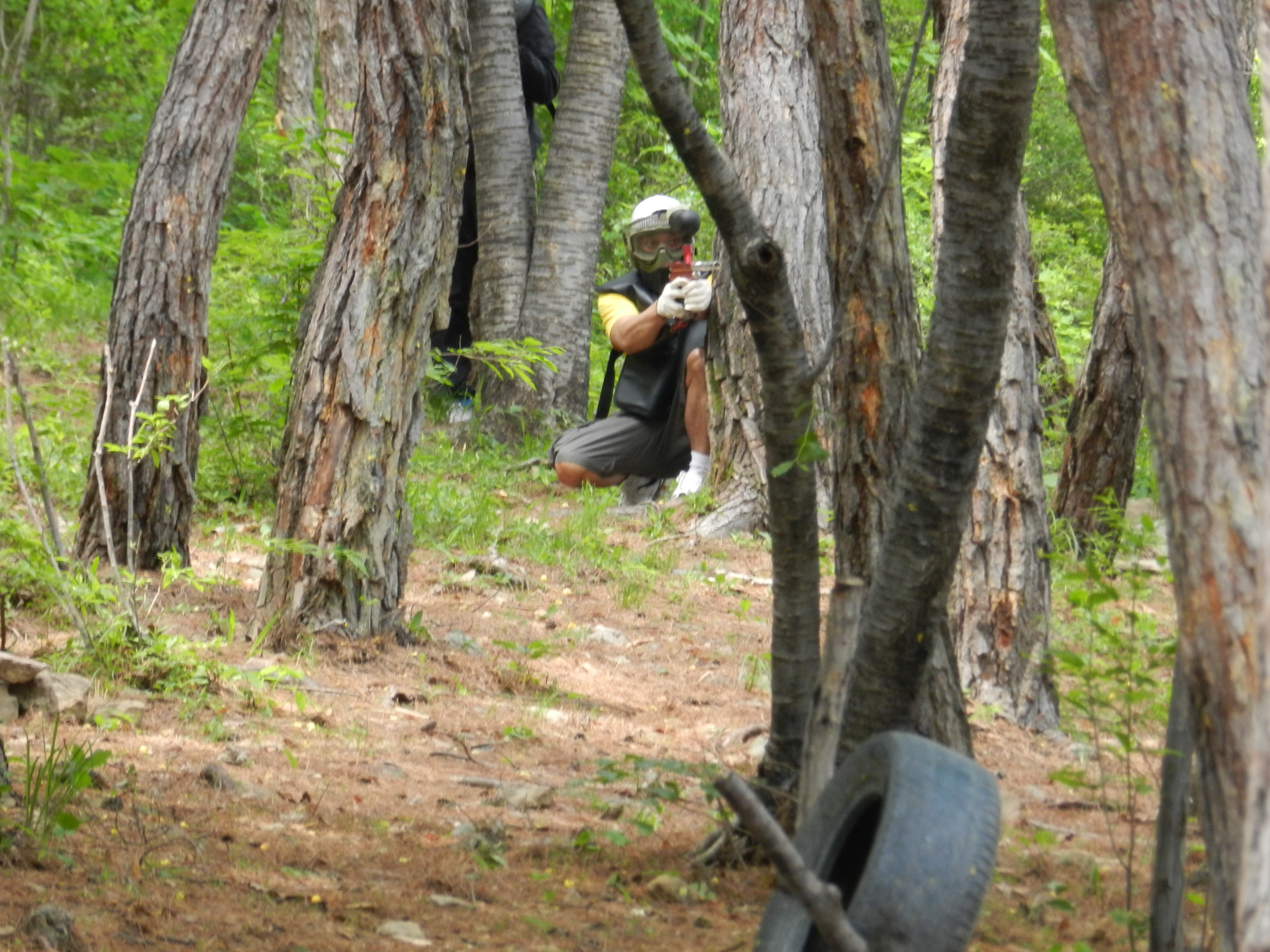 남한강레포츠 이미지