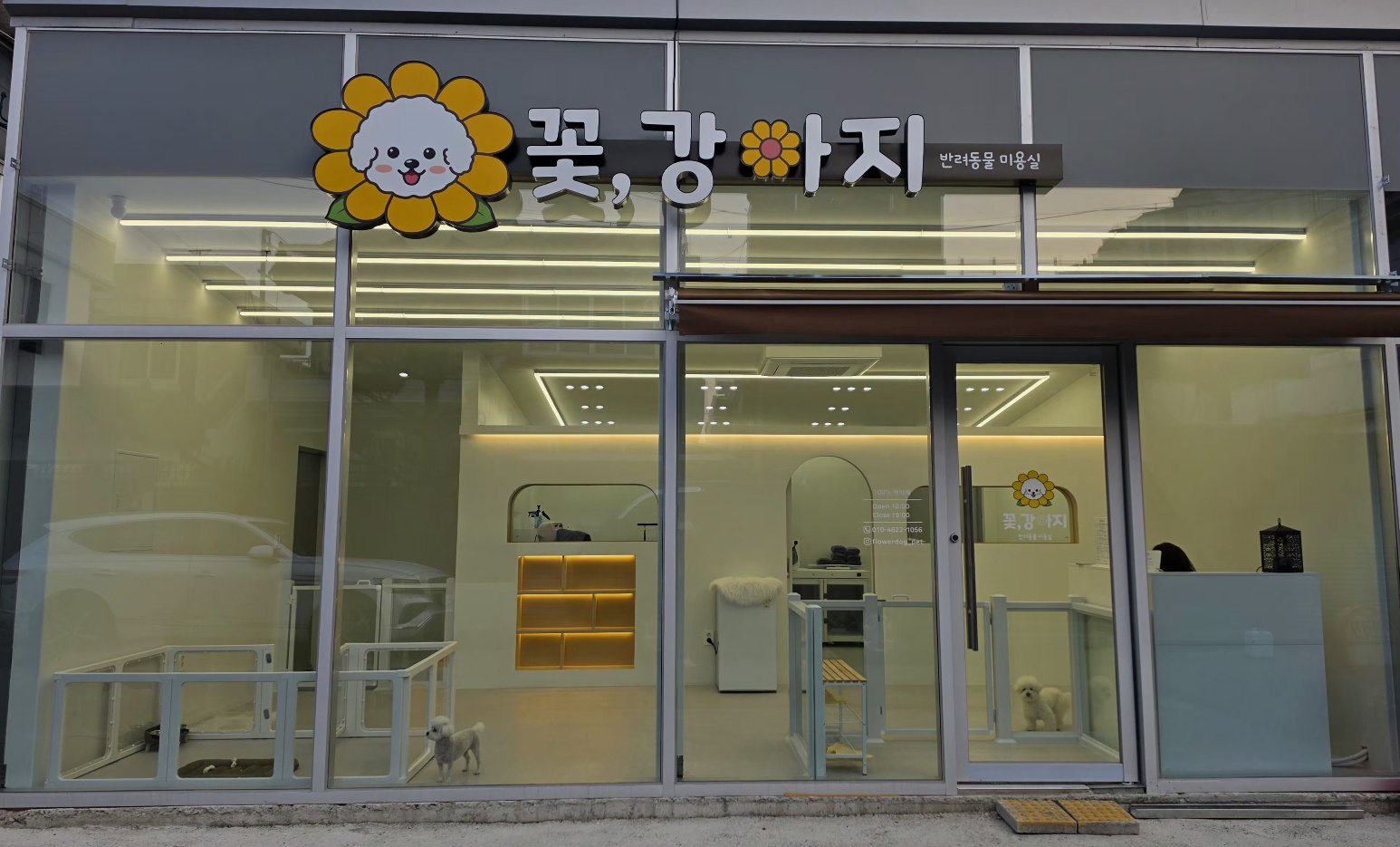 꽃강아지