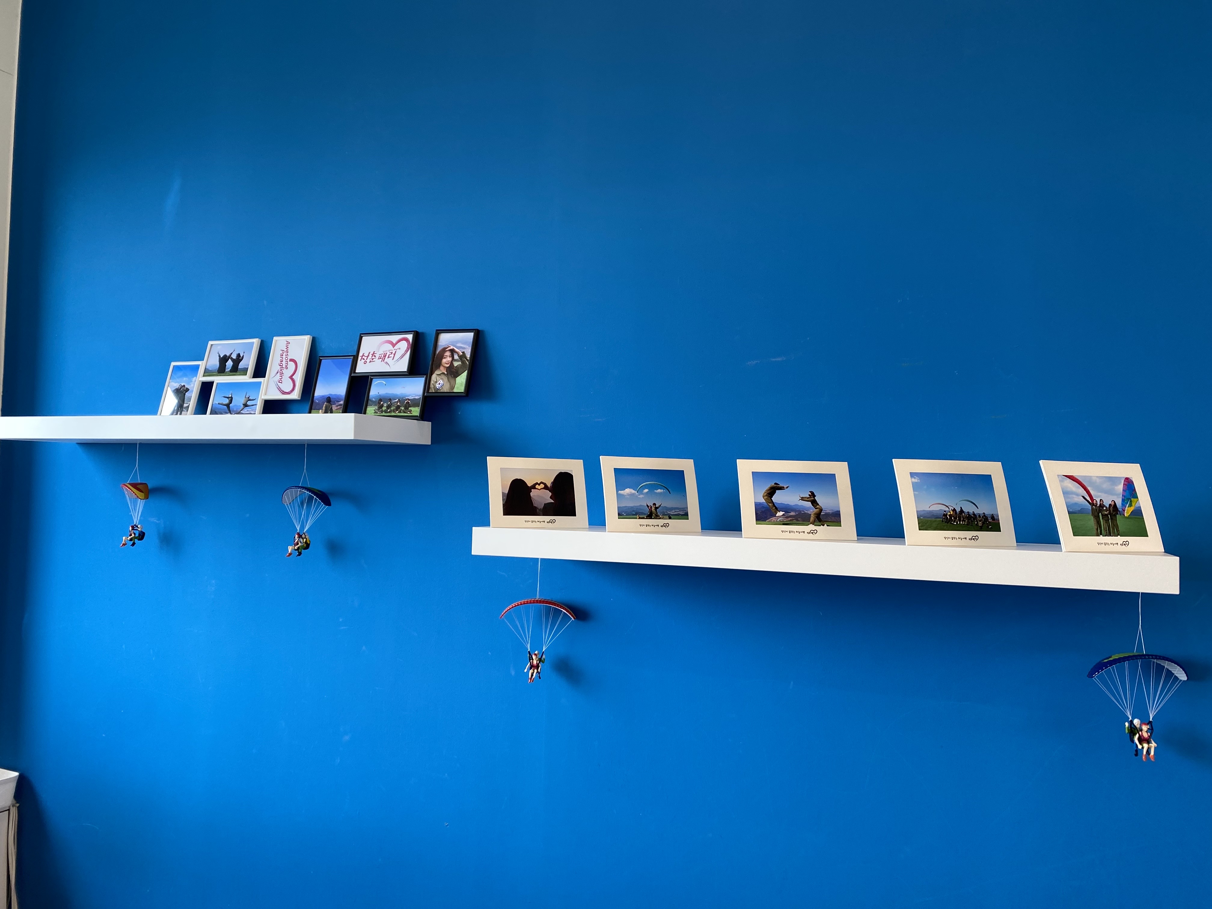 단양청춘패러 이미지