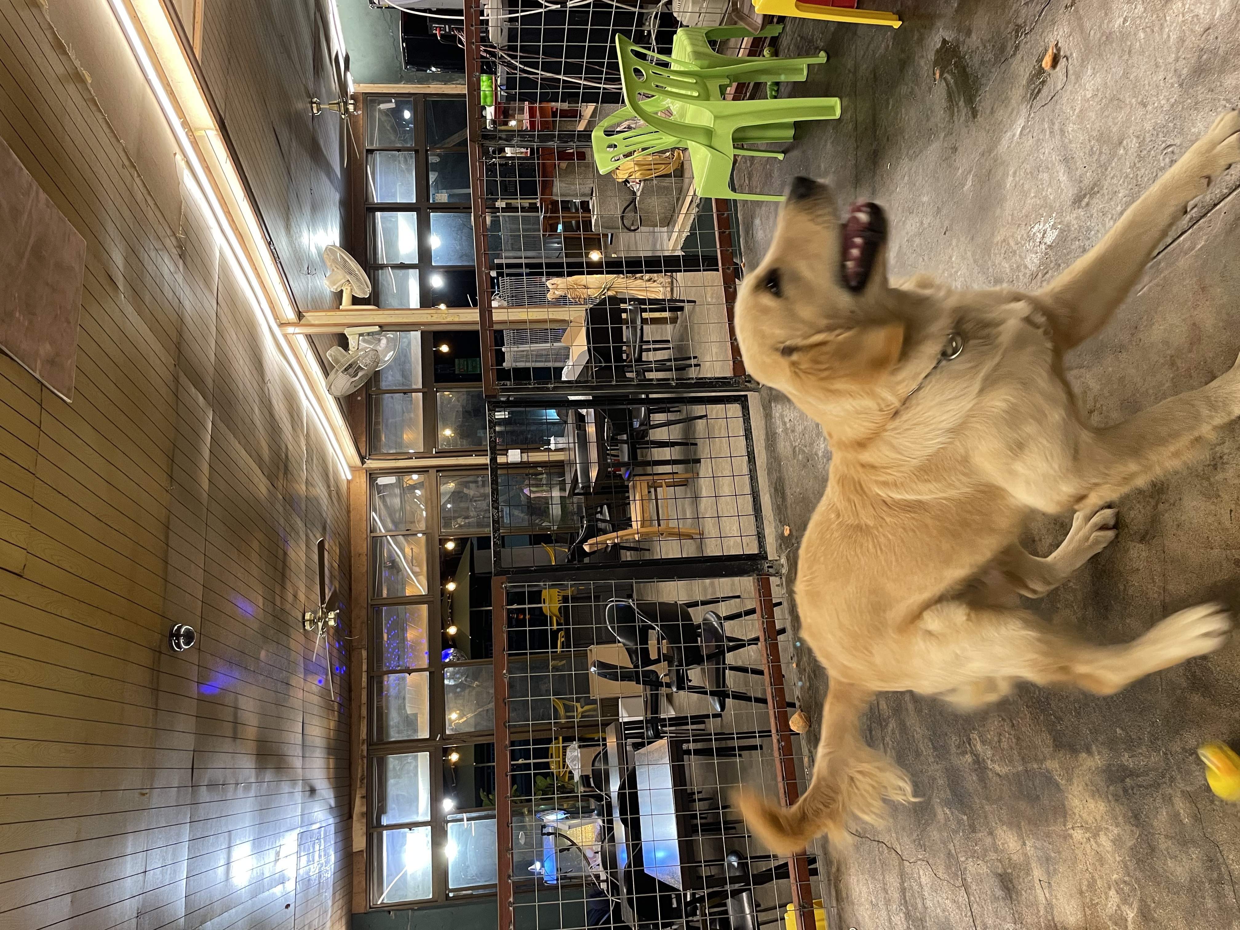 백산커피 이미지