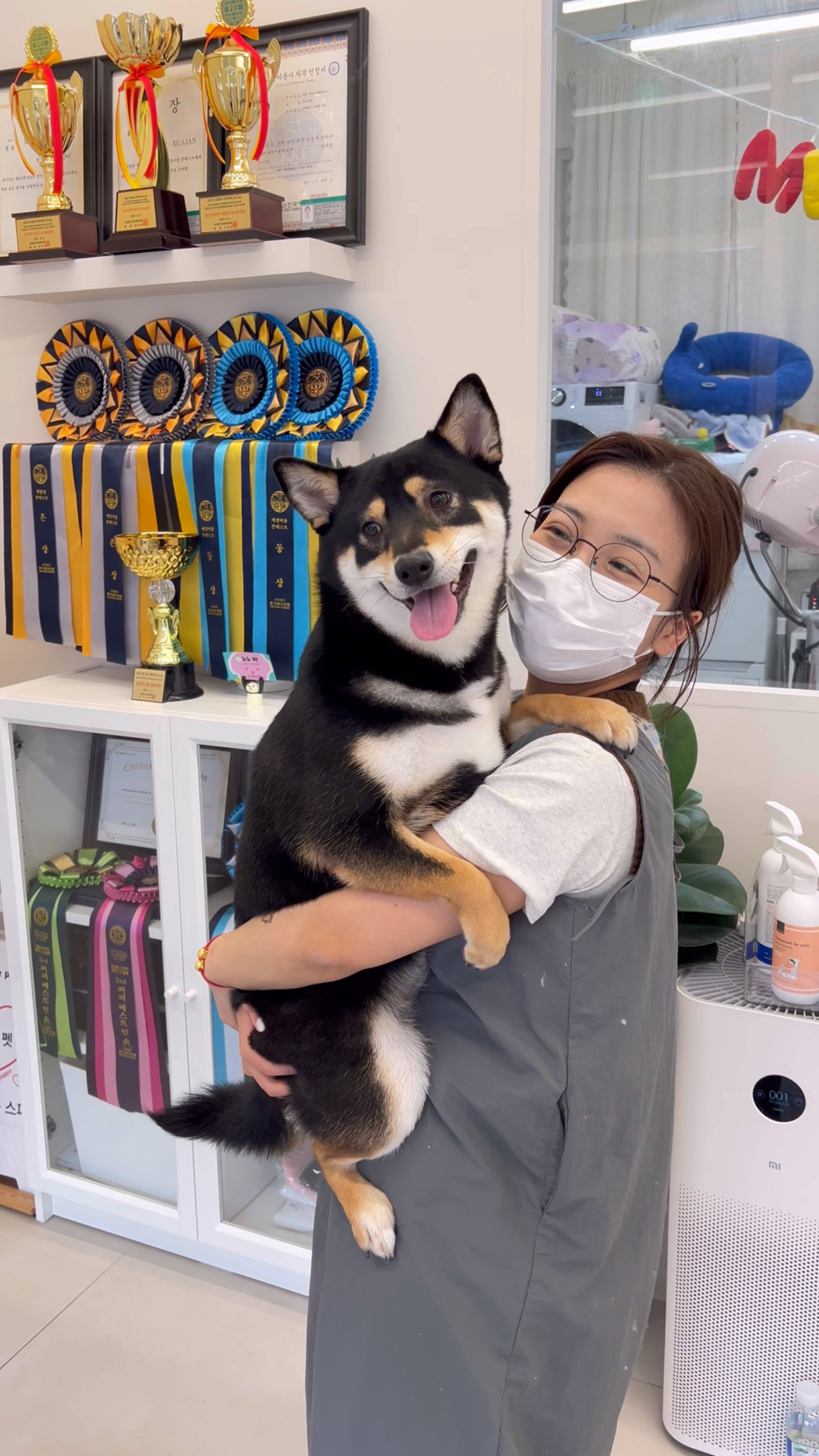 노노펫