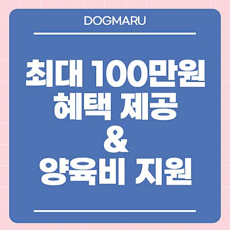 부산강아지분양 고양이분양 도그마루