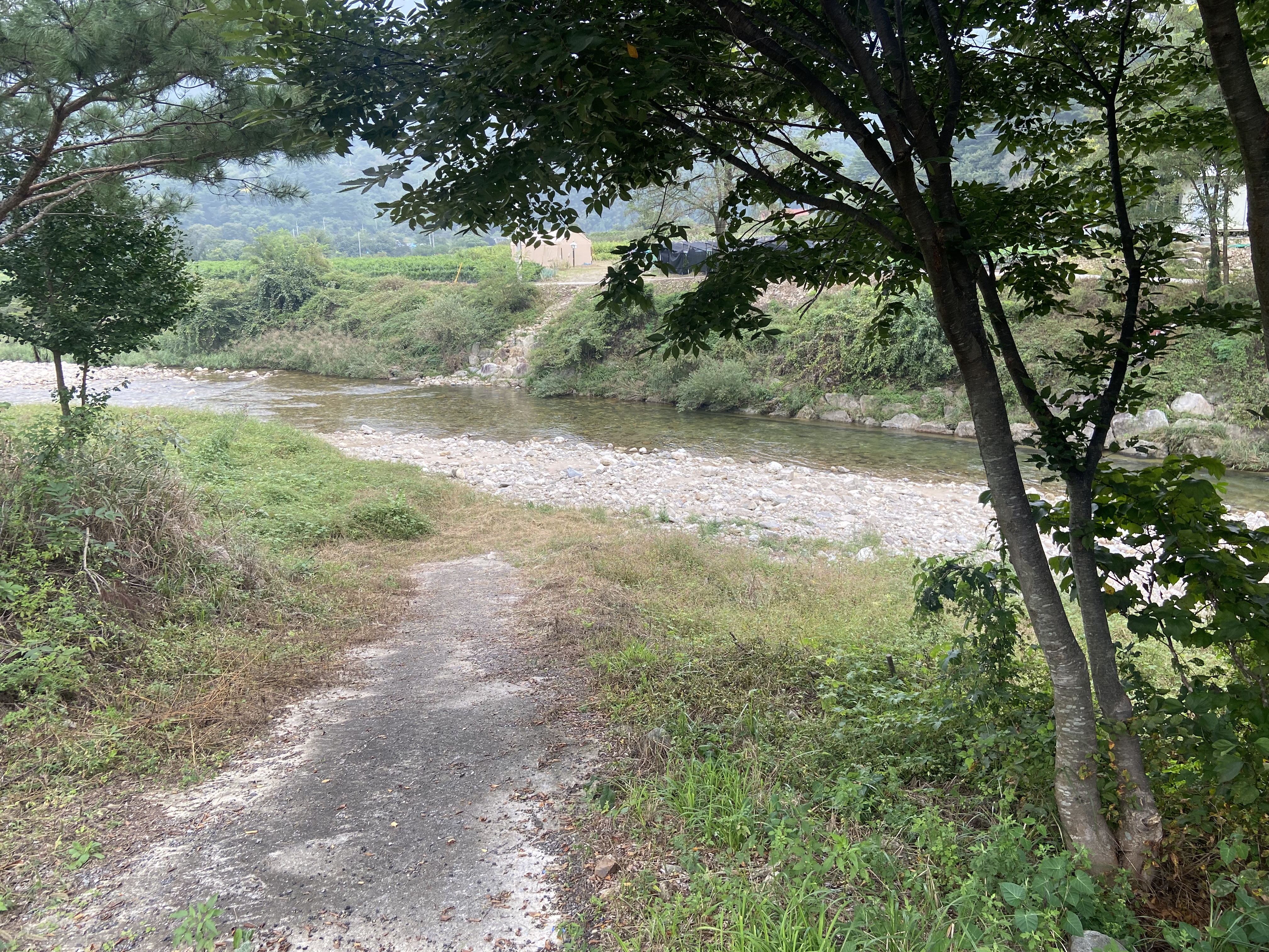 아침 햇살 민박 이미지