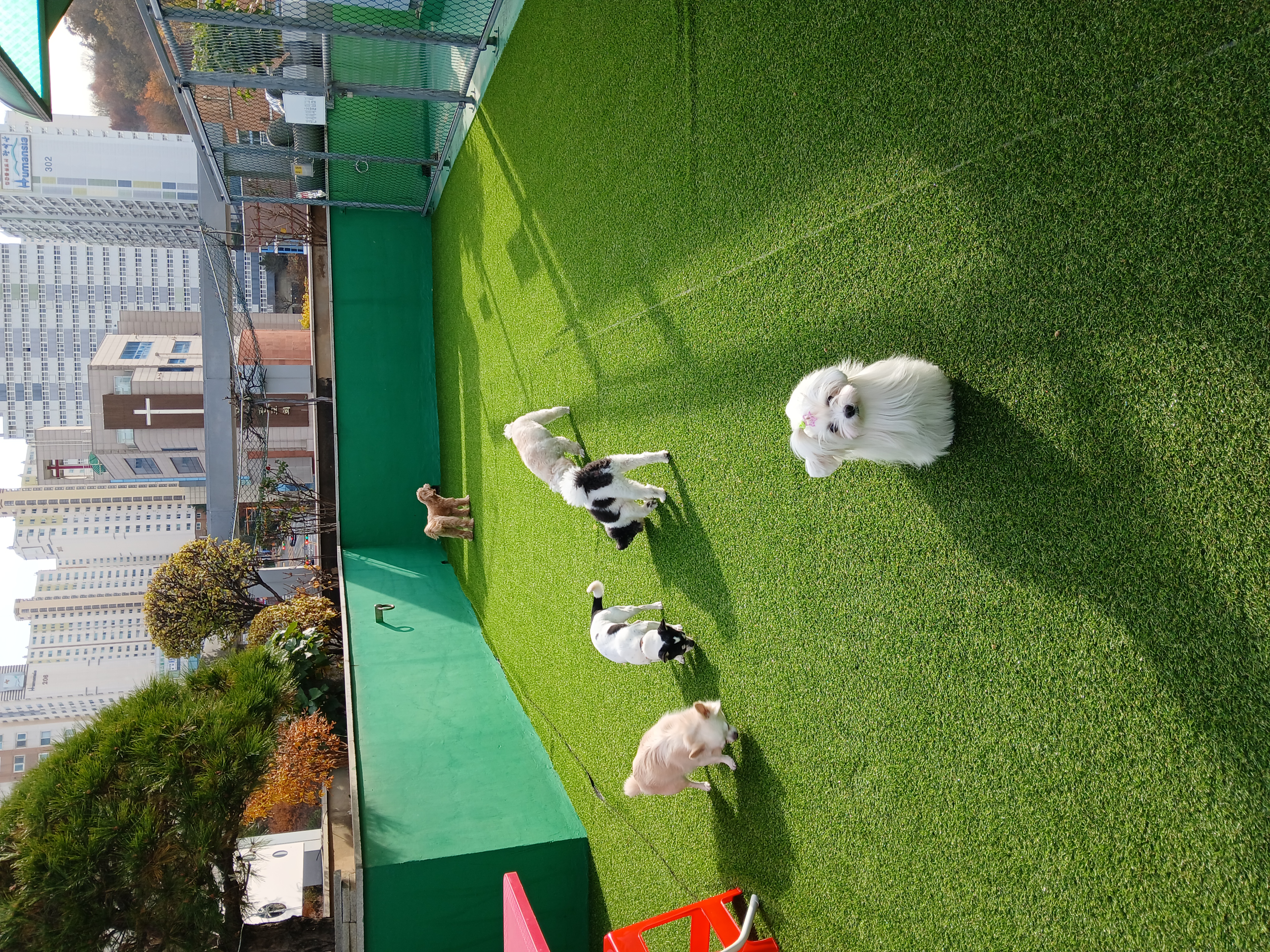 주식회사 스마트독