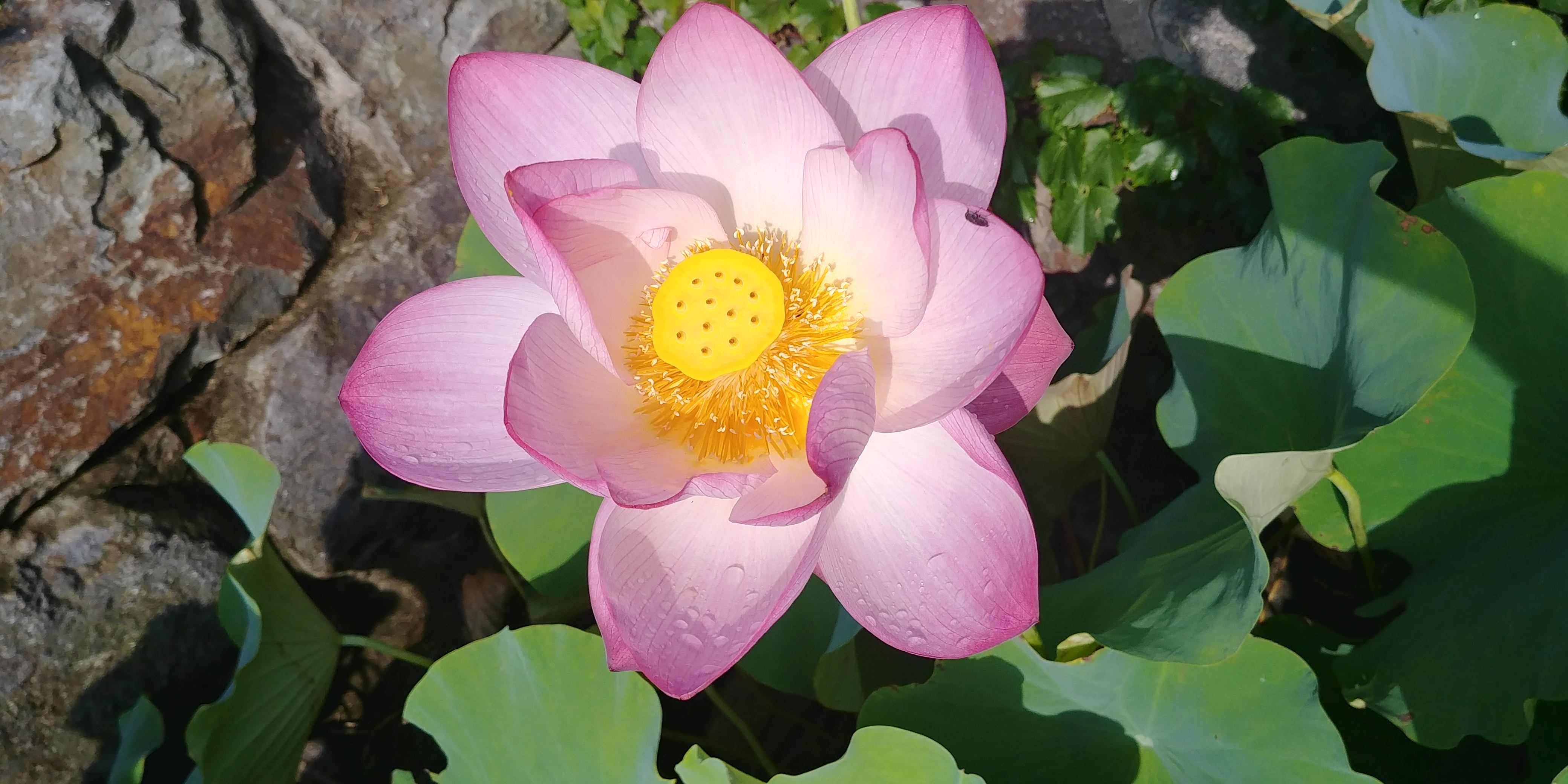 수산 구인사 이미지