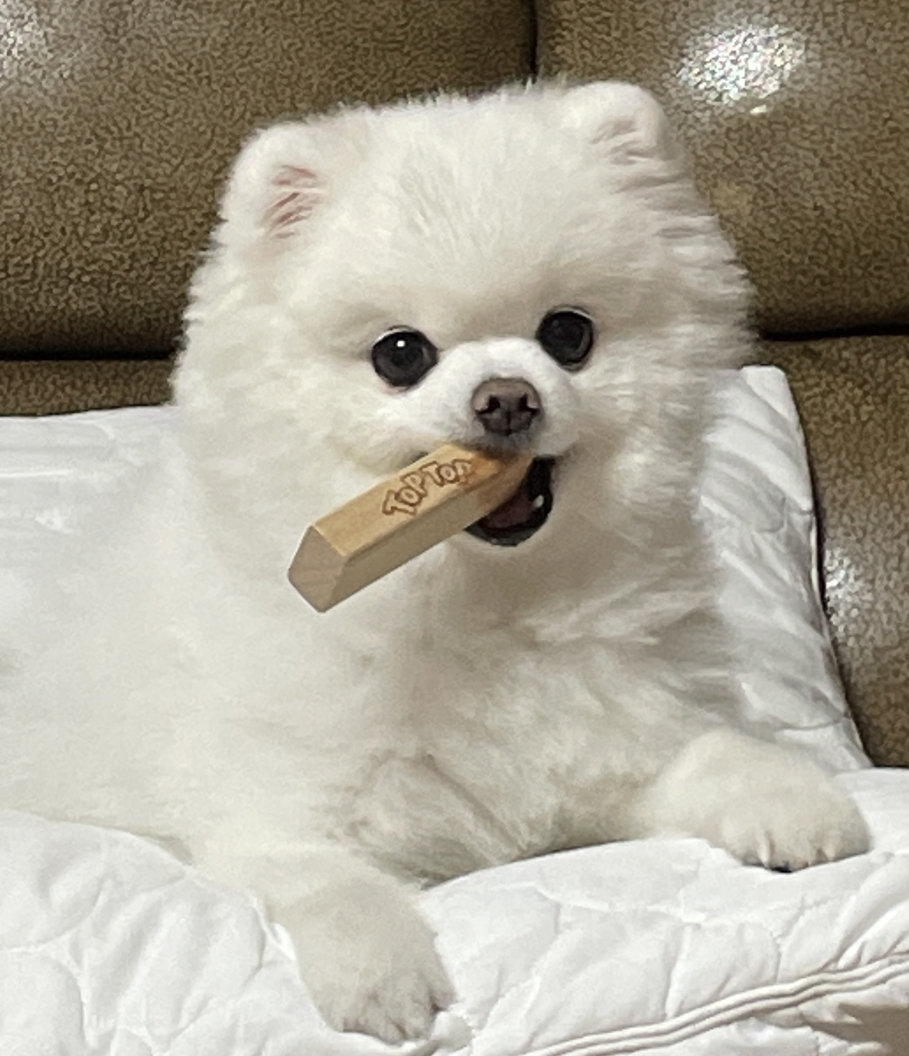위키위키