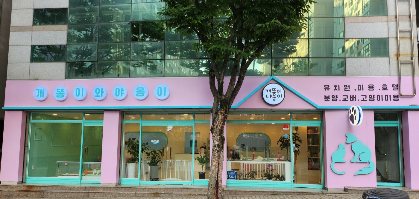 개똥이와냐옹이