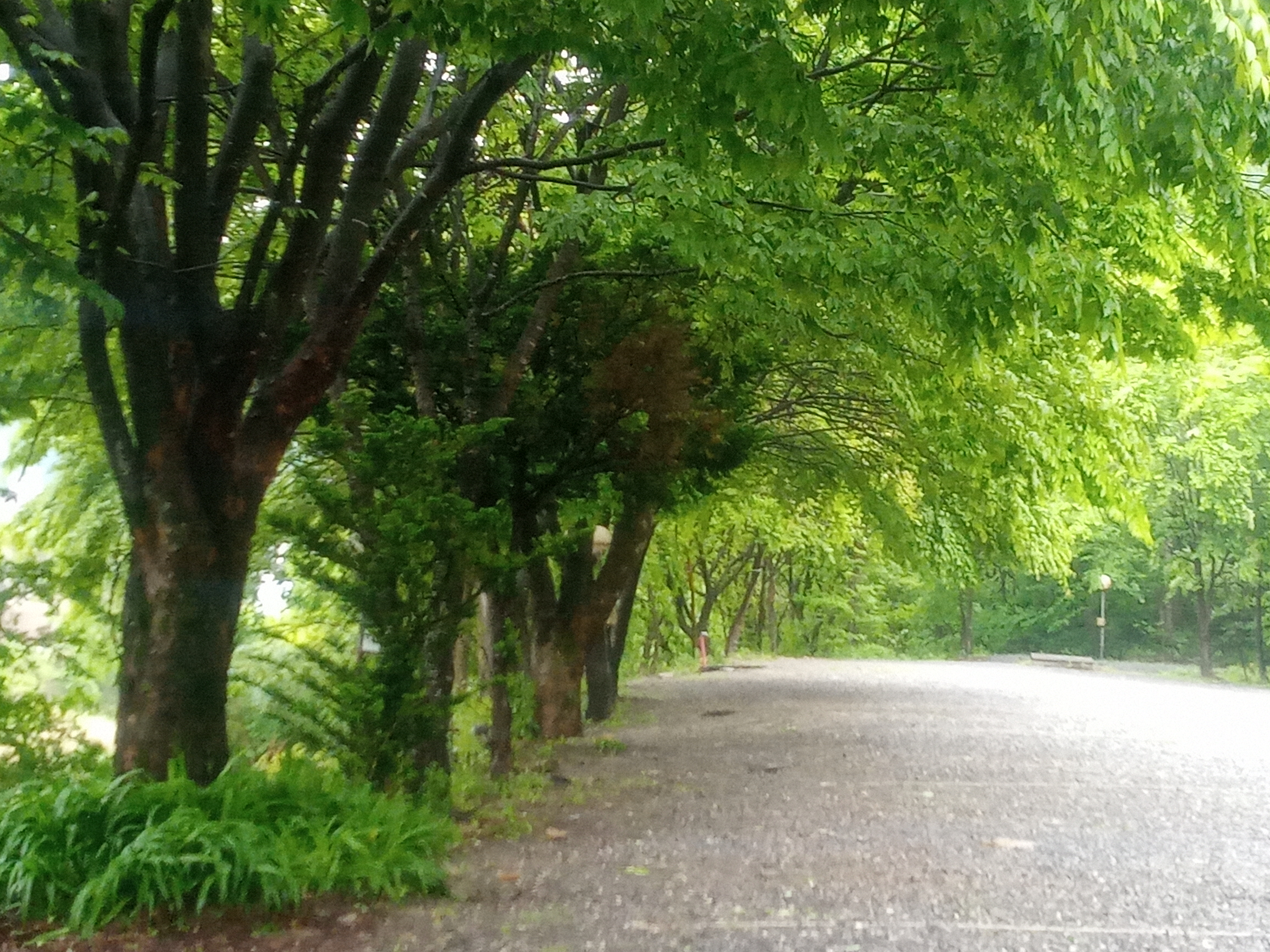 쉴만한물가민박 이미지