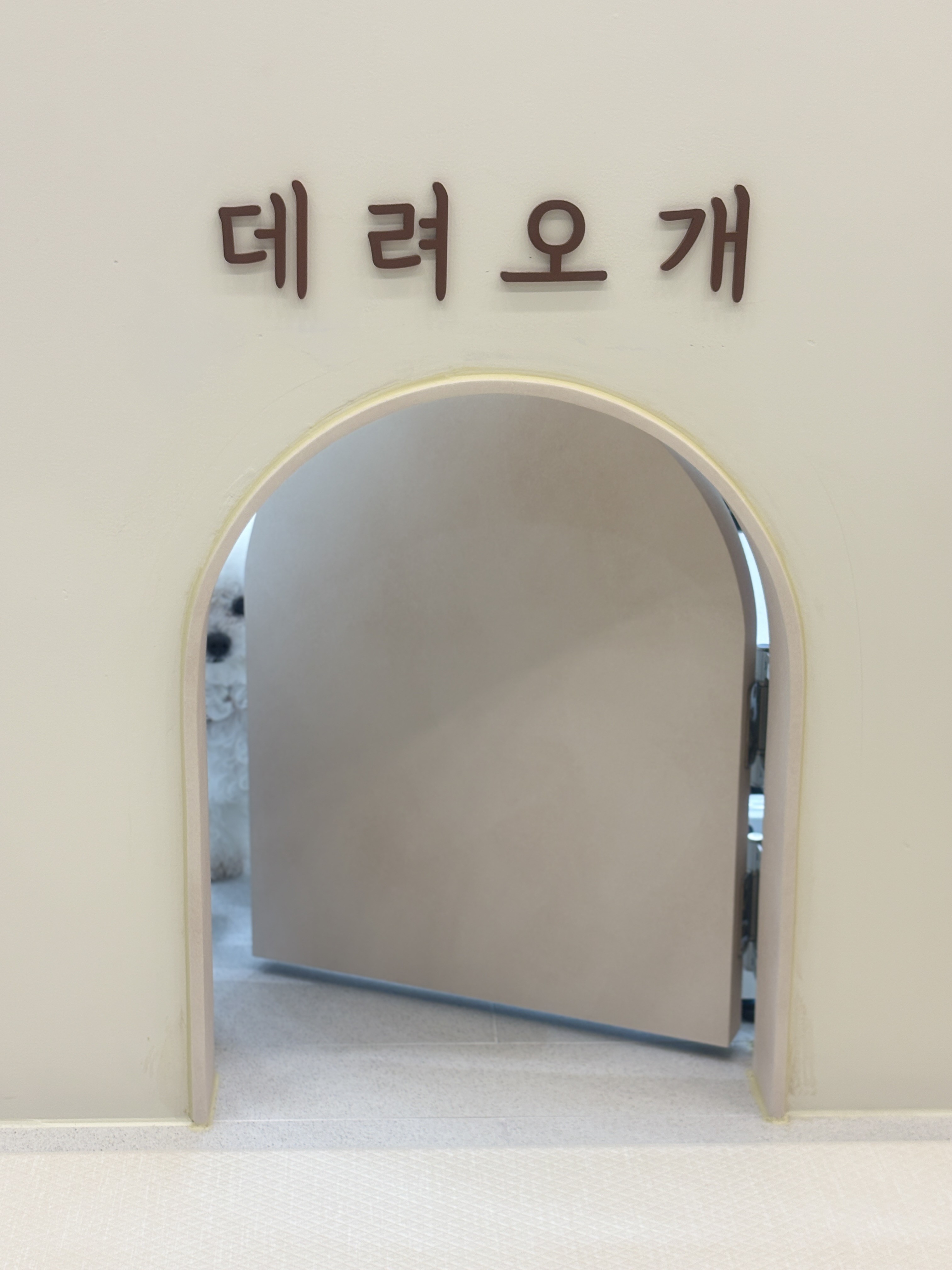 데려오개