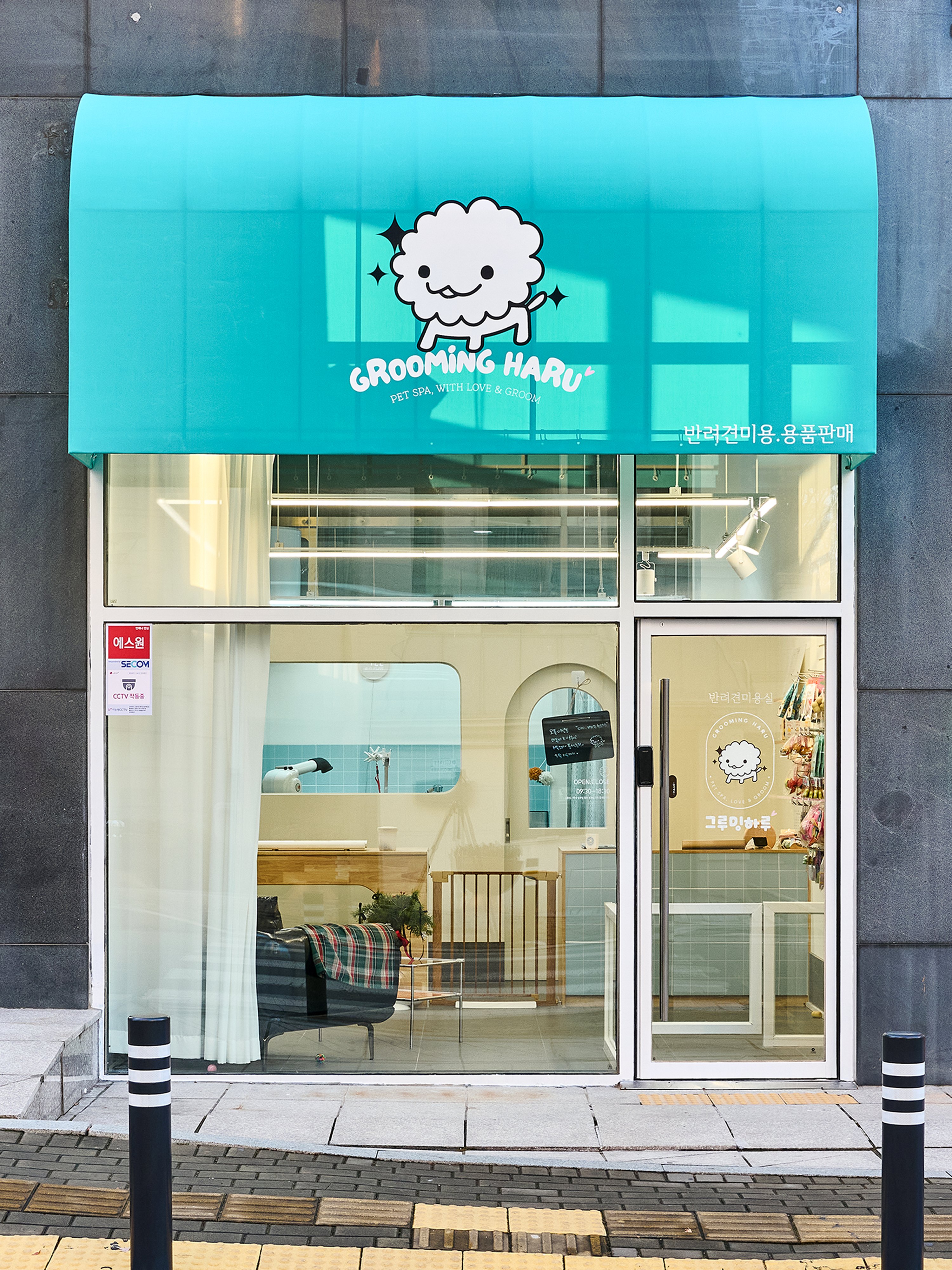 그루밍 하루