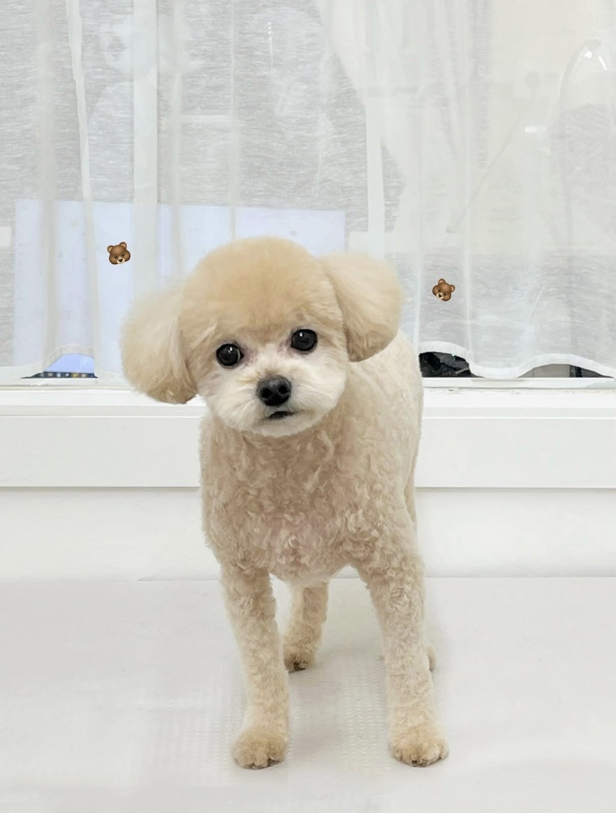 뭉투샵