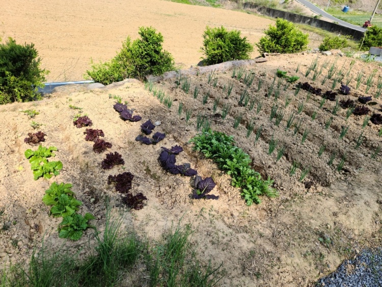 힐링스트로펜션 이미지