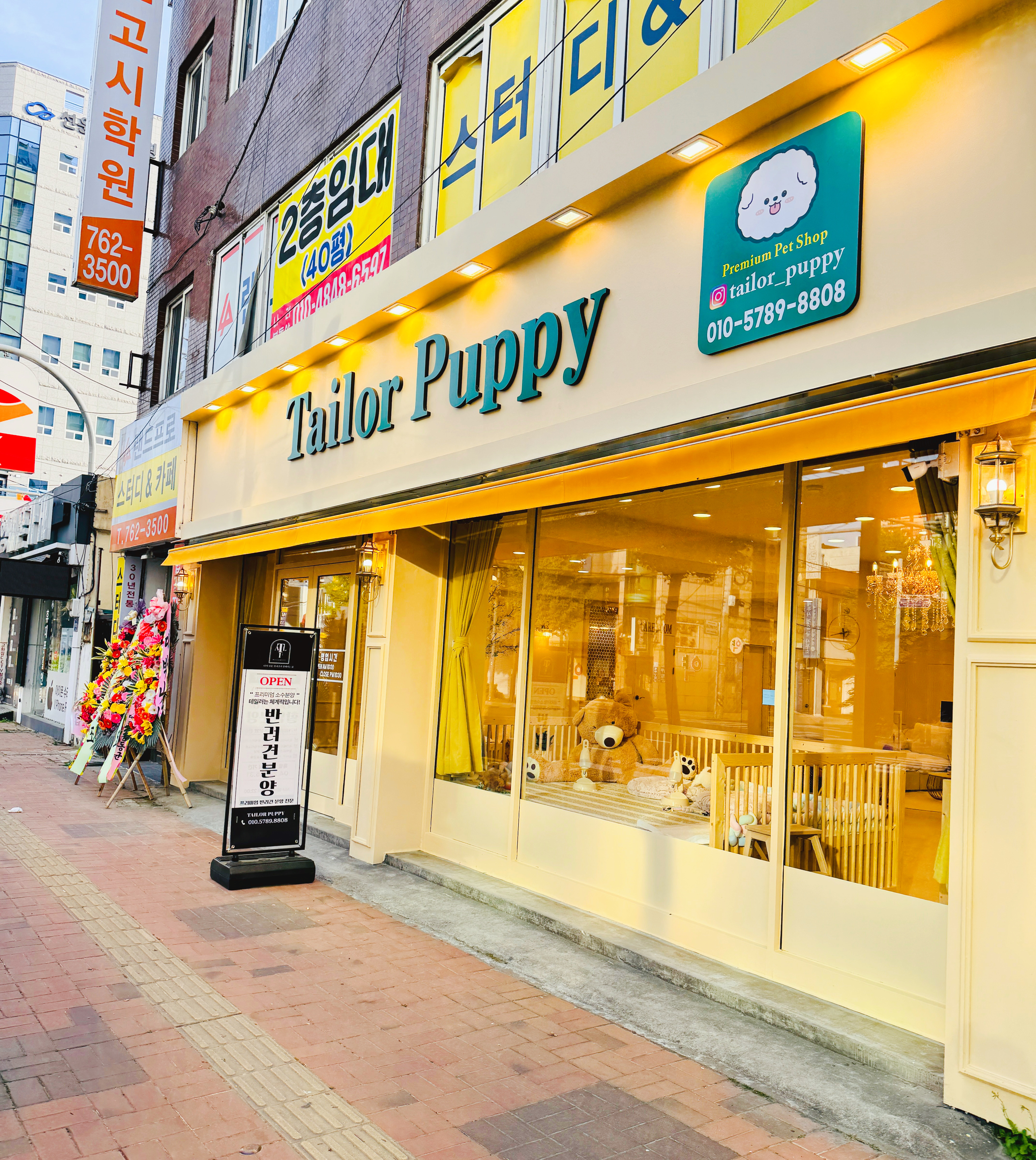 테일러퍼피