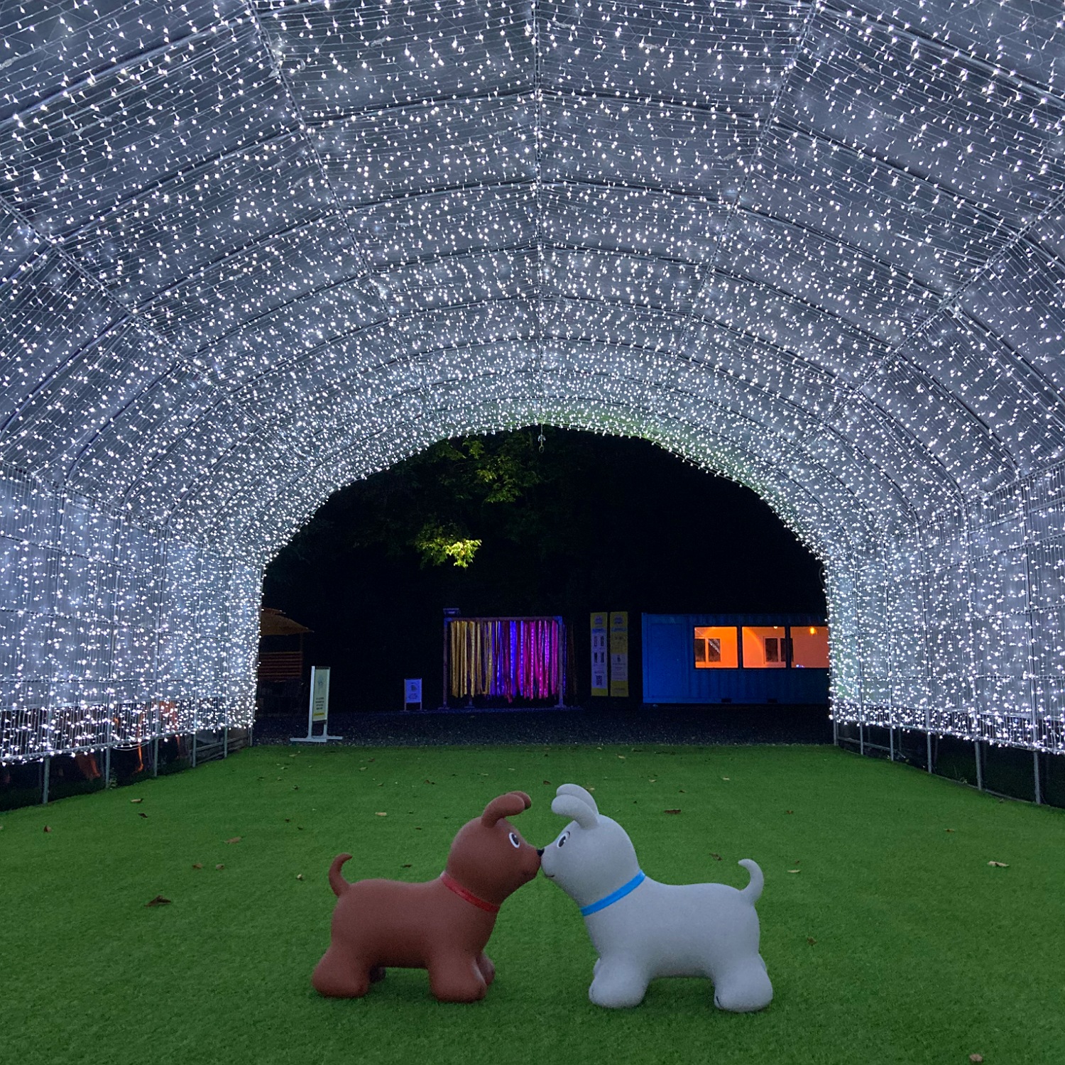 팝스월드 단양 이미지