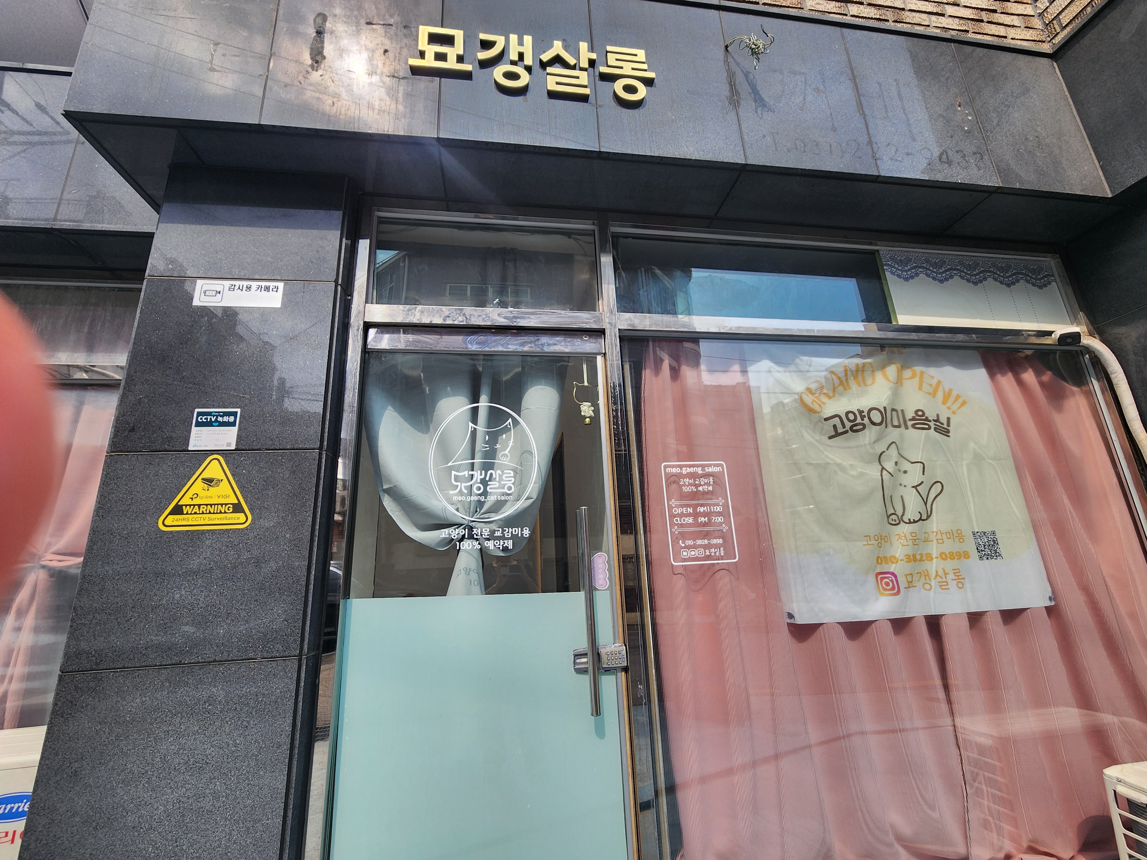 고양이무마취미용 묘갱살롱