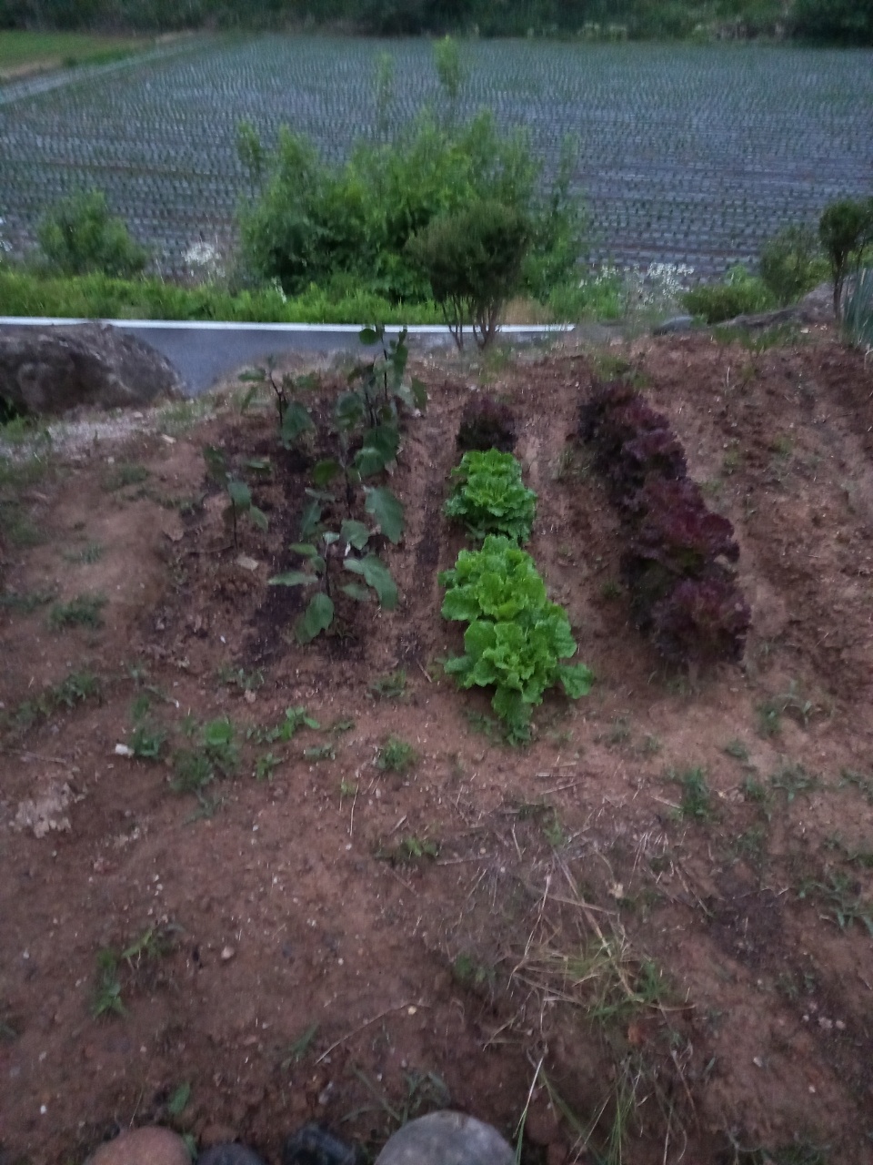 힐링스트로펜션 이미지