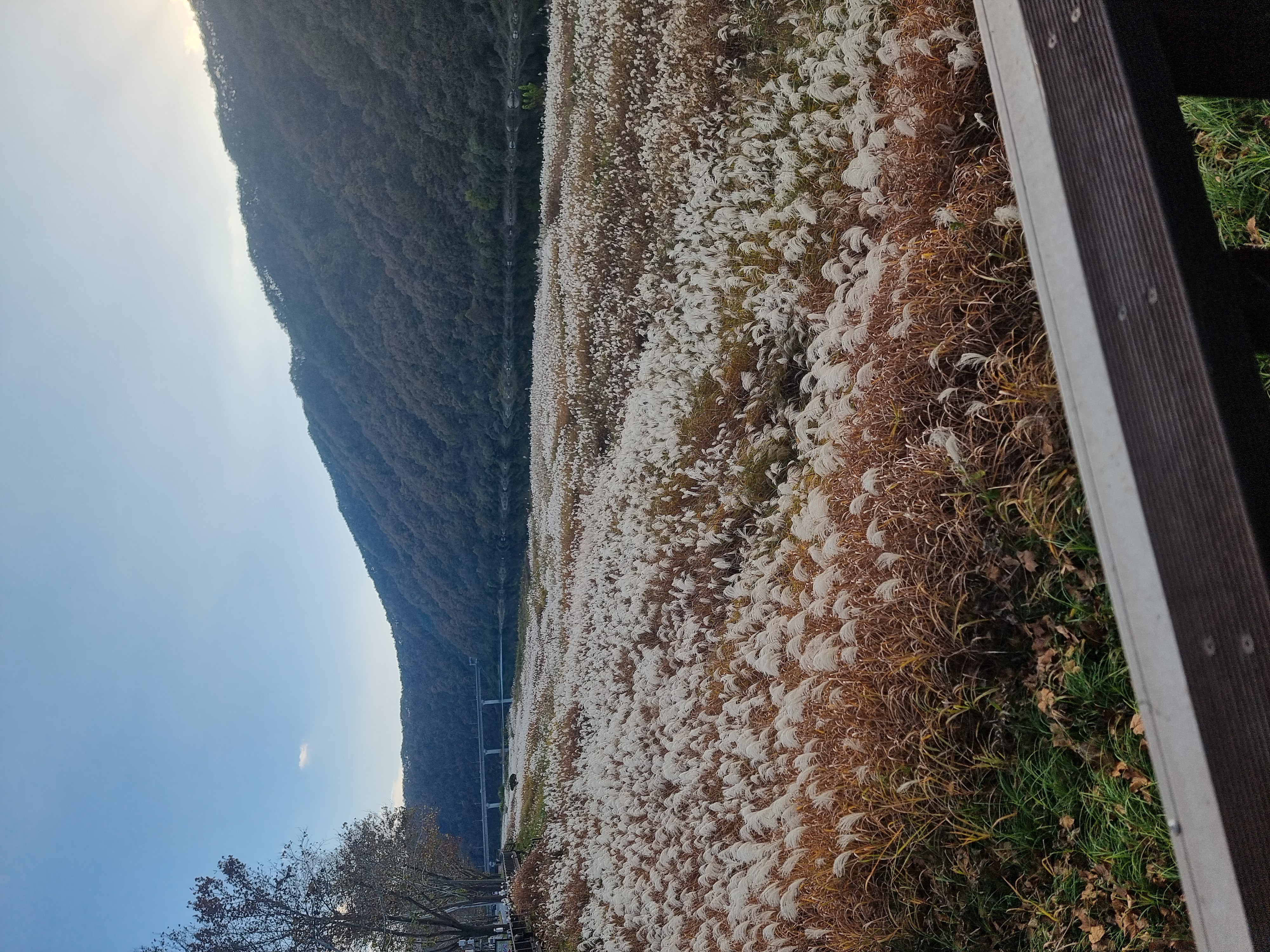 가곡할배민박 이미지