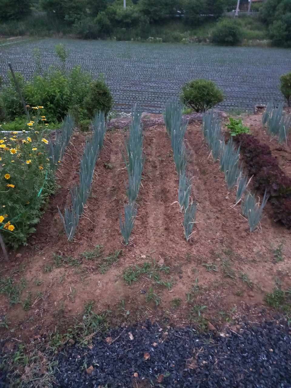 힐링스트로펜션 이미지