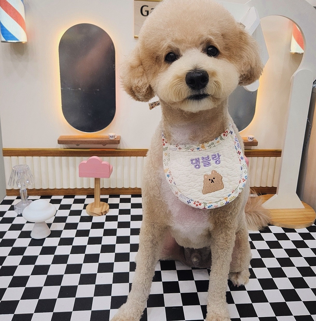 댕블랑