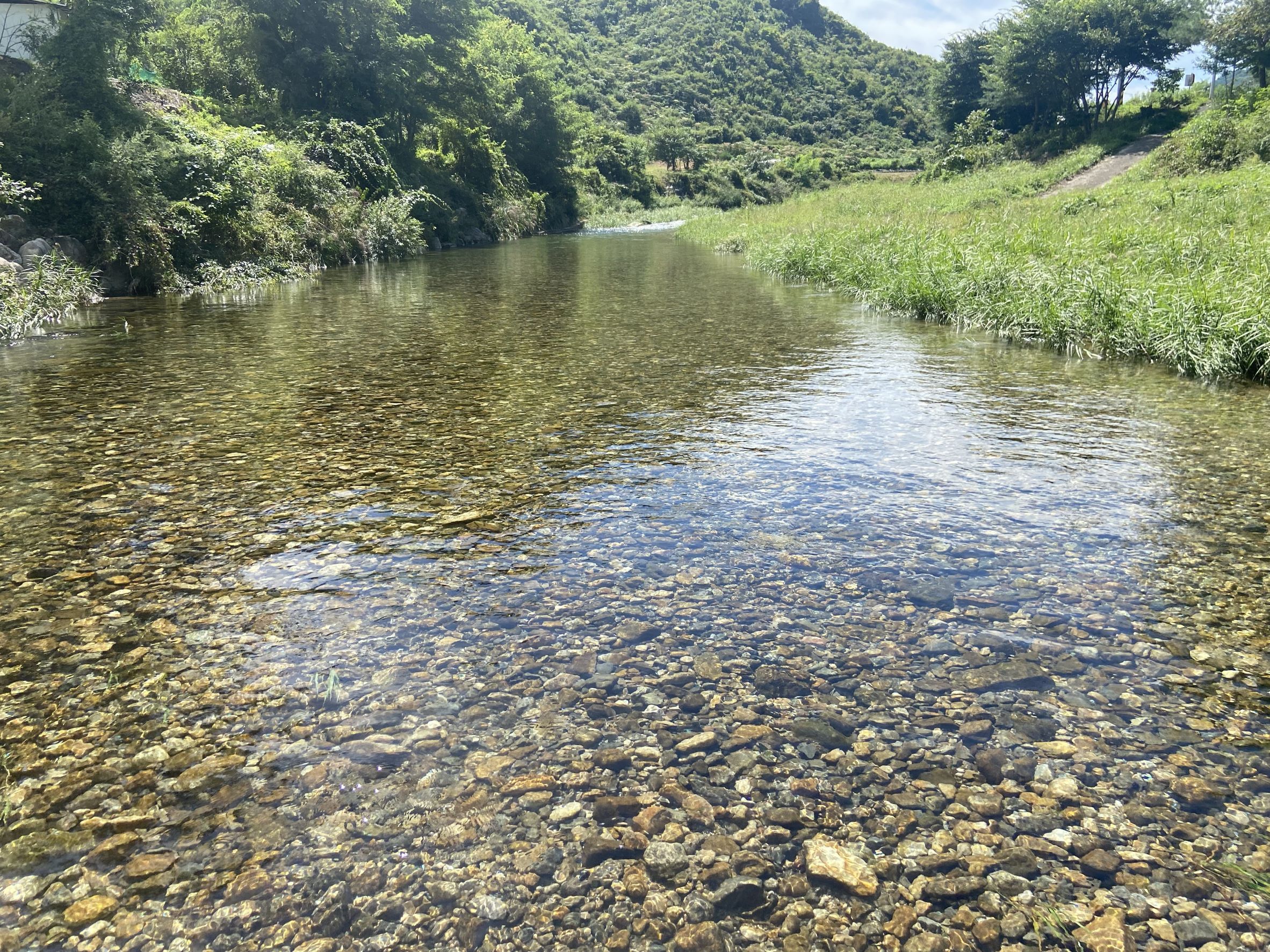 아침 햇살 민박 이미지