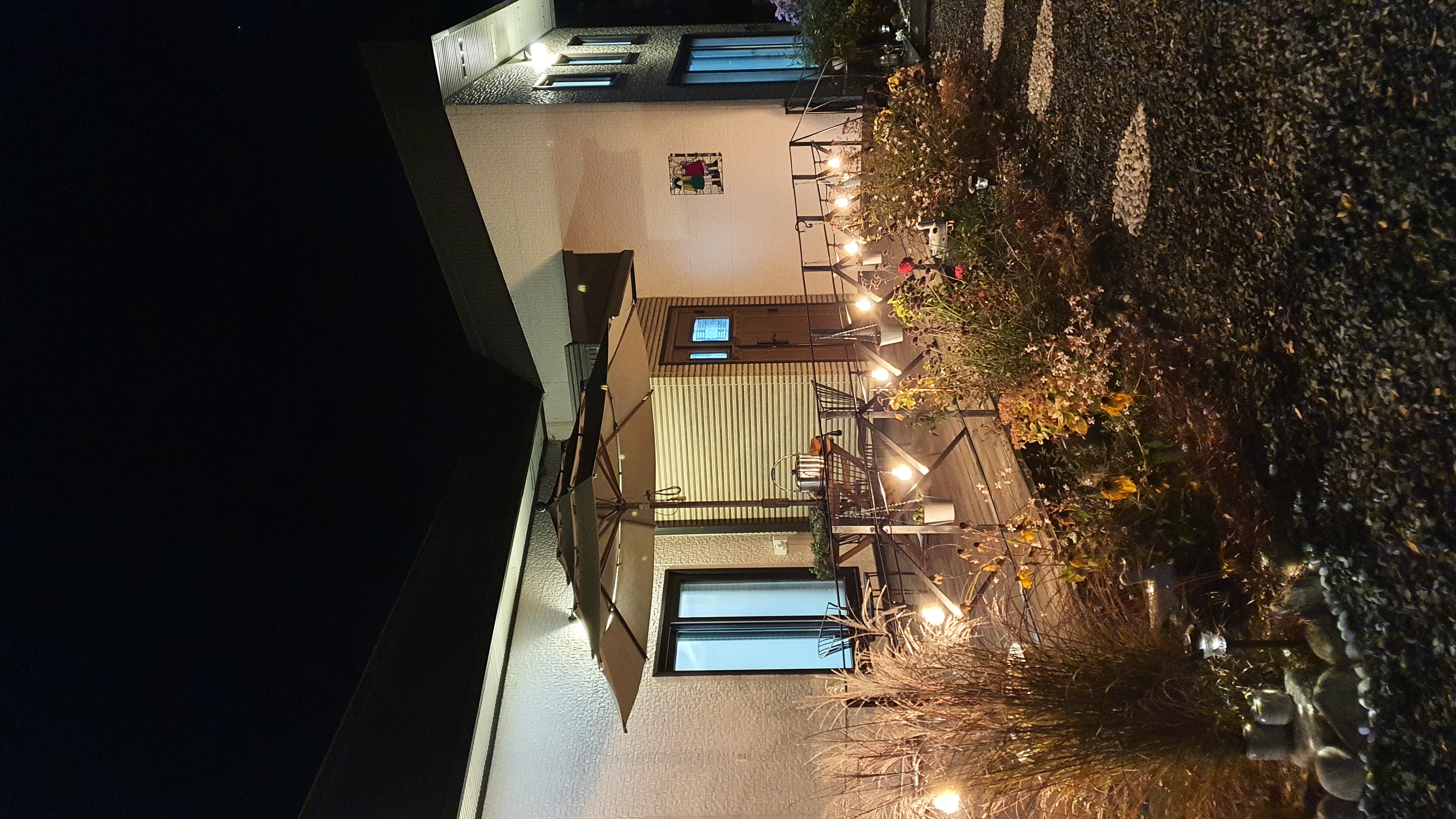 더 트리 홈 이미지