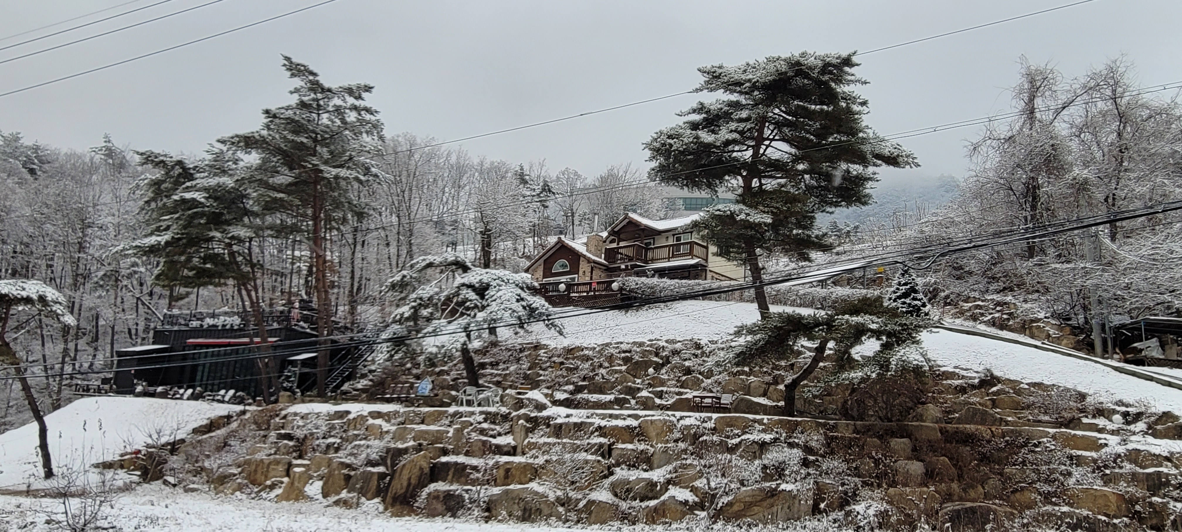 소나무정원화덕피자 이미지