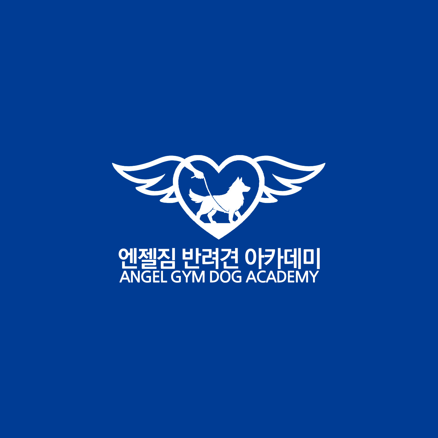 엔젤짐 반려견 아카데미