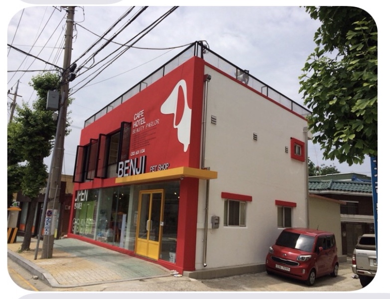 벤지애견