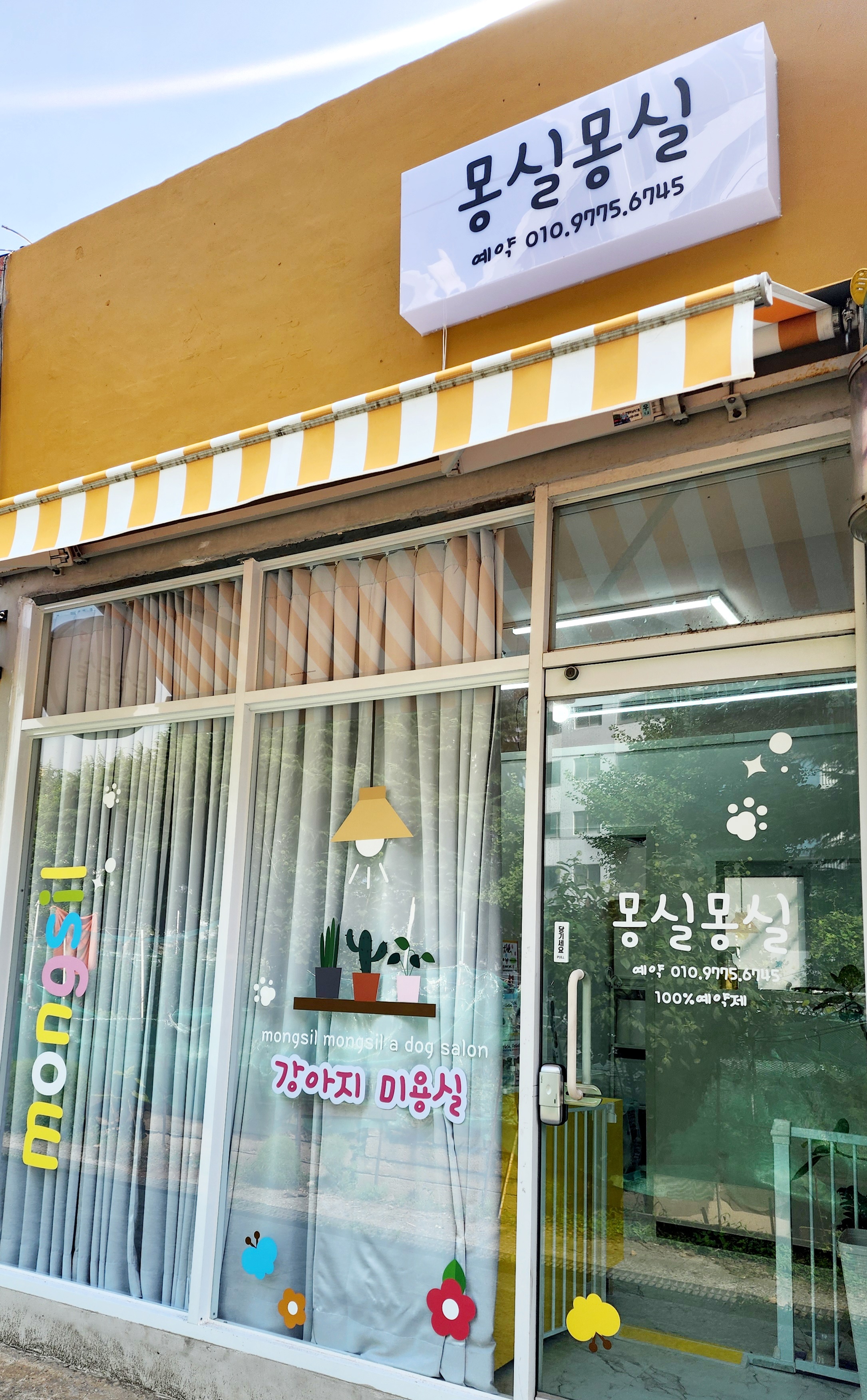 몽실몽실