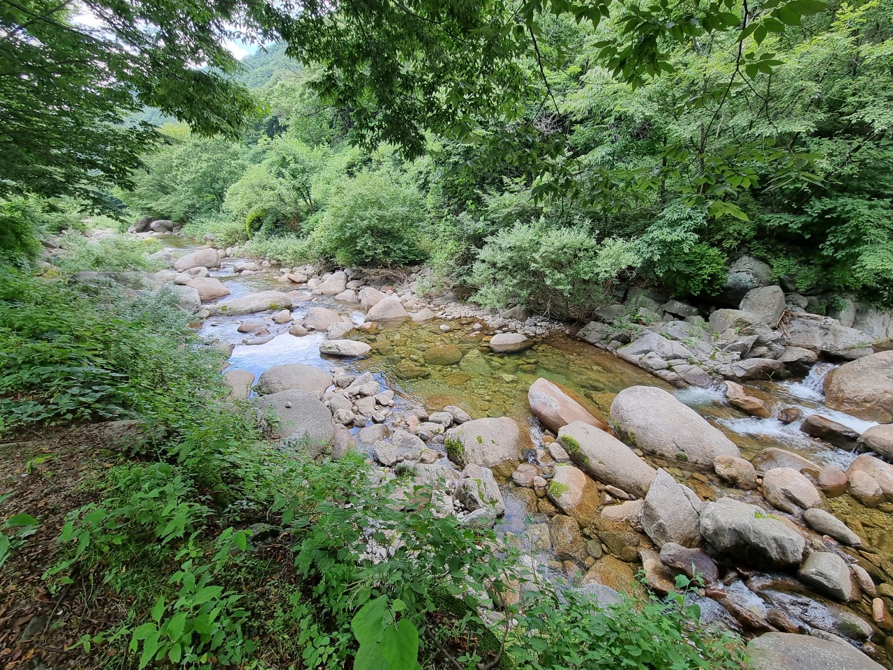 민들레펜션 이미지