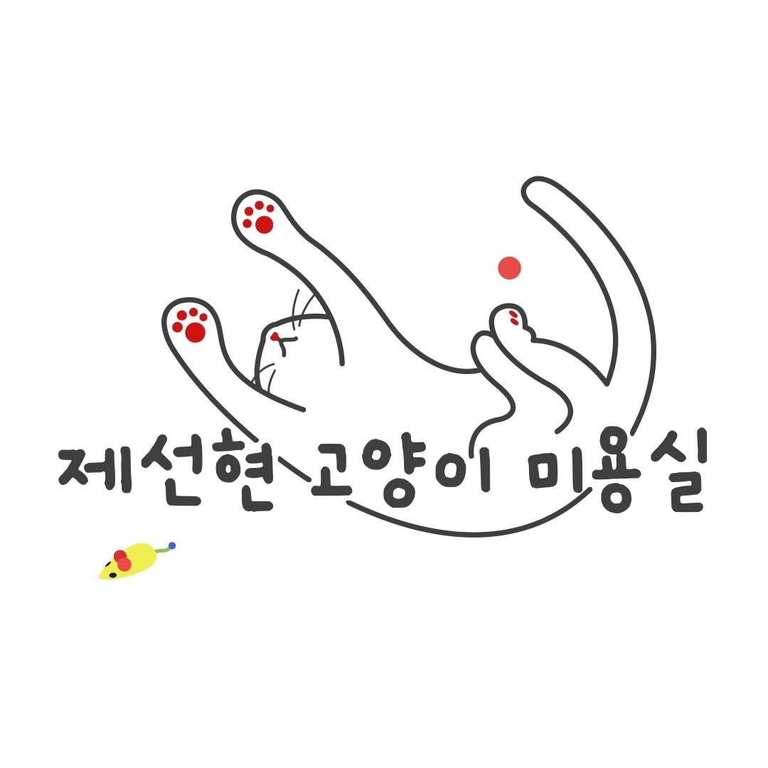 제선현 고양이 미용실