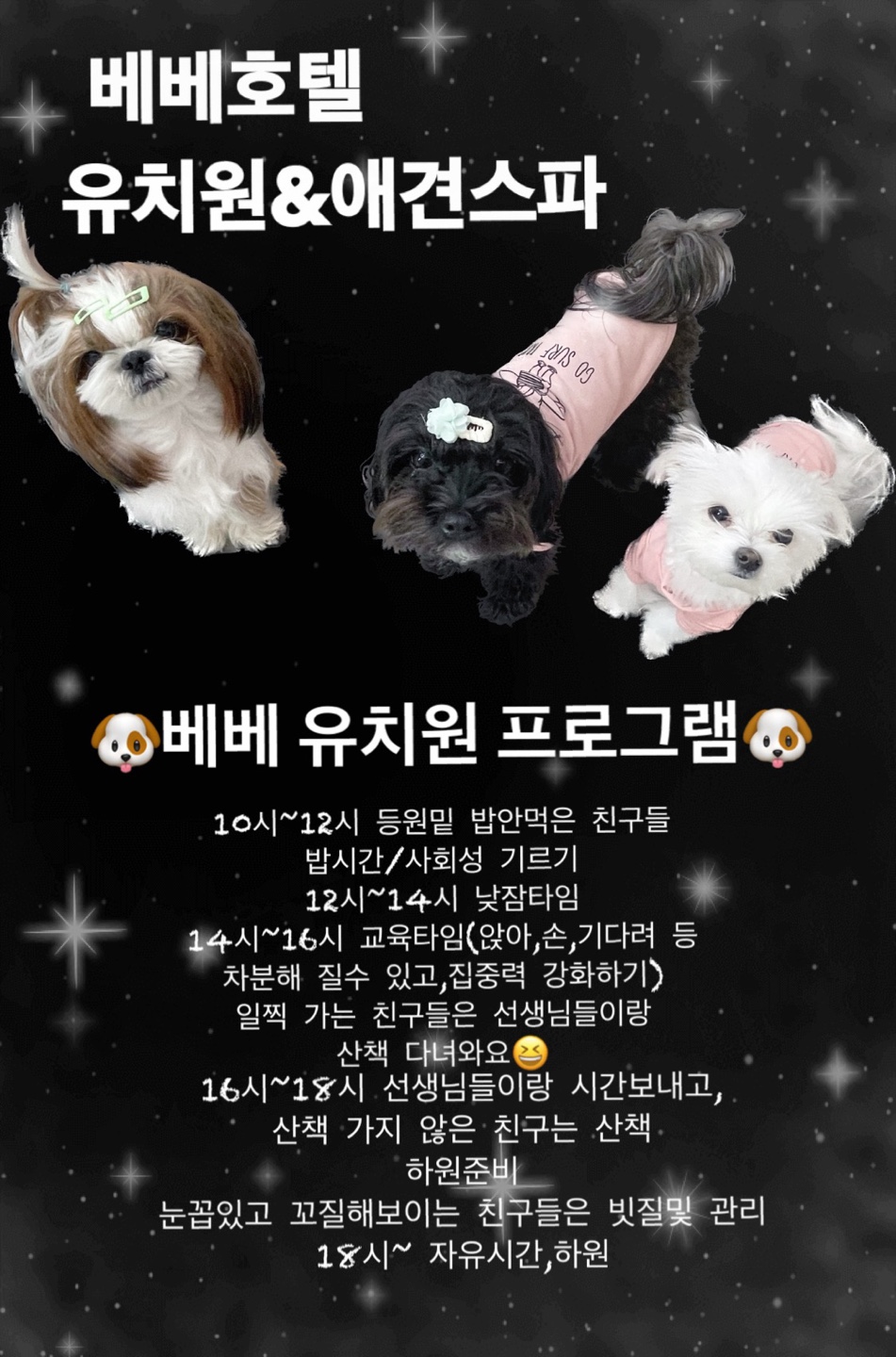 베베호텔 유치원 & 애견스파