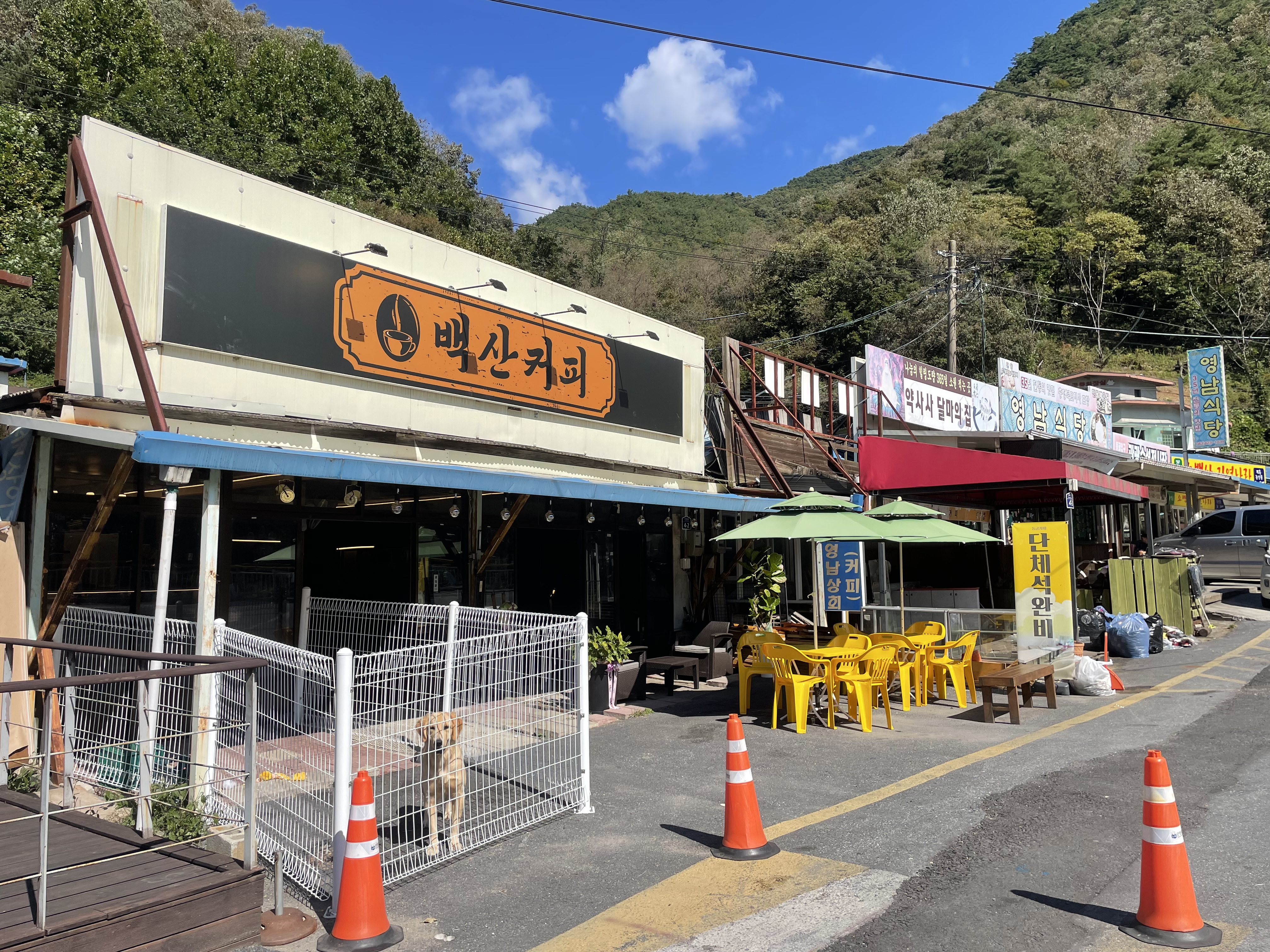 백산커피 이미지