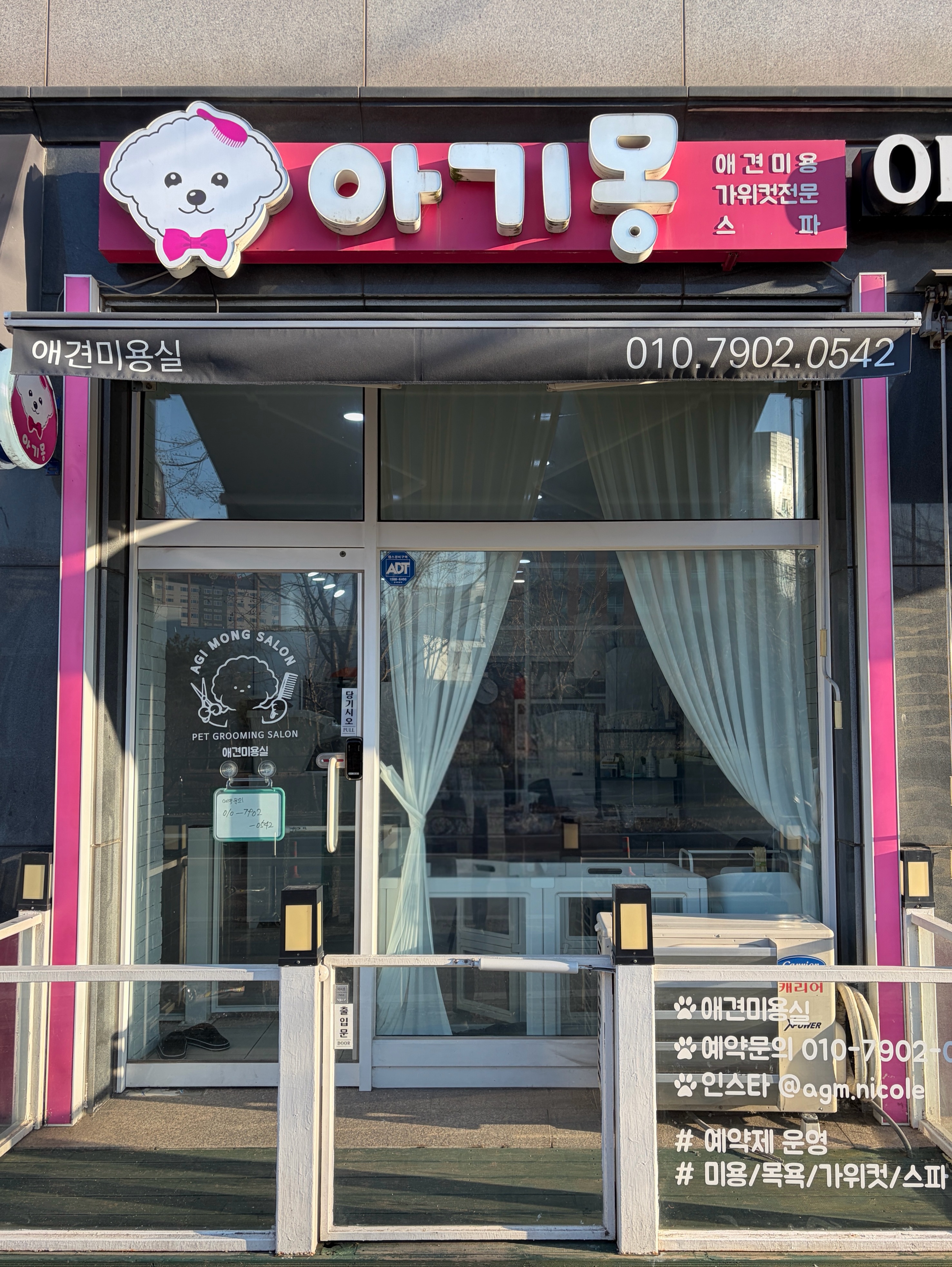 아기몽