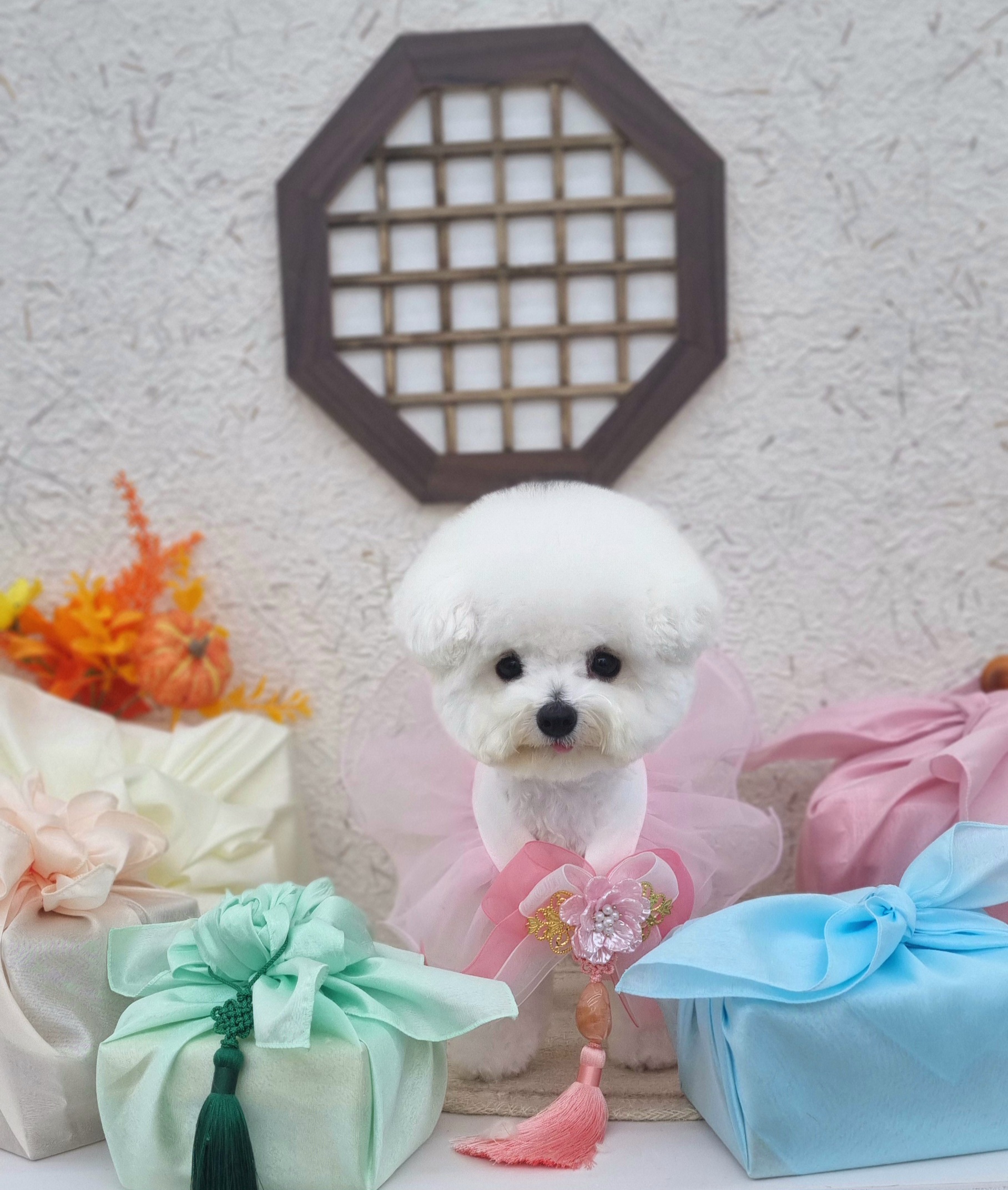 이따봐요