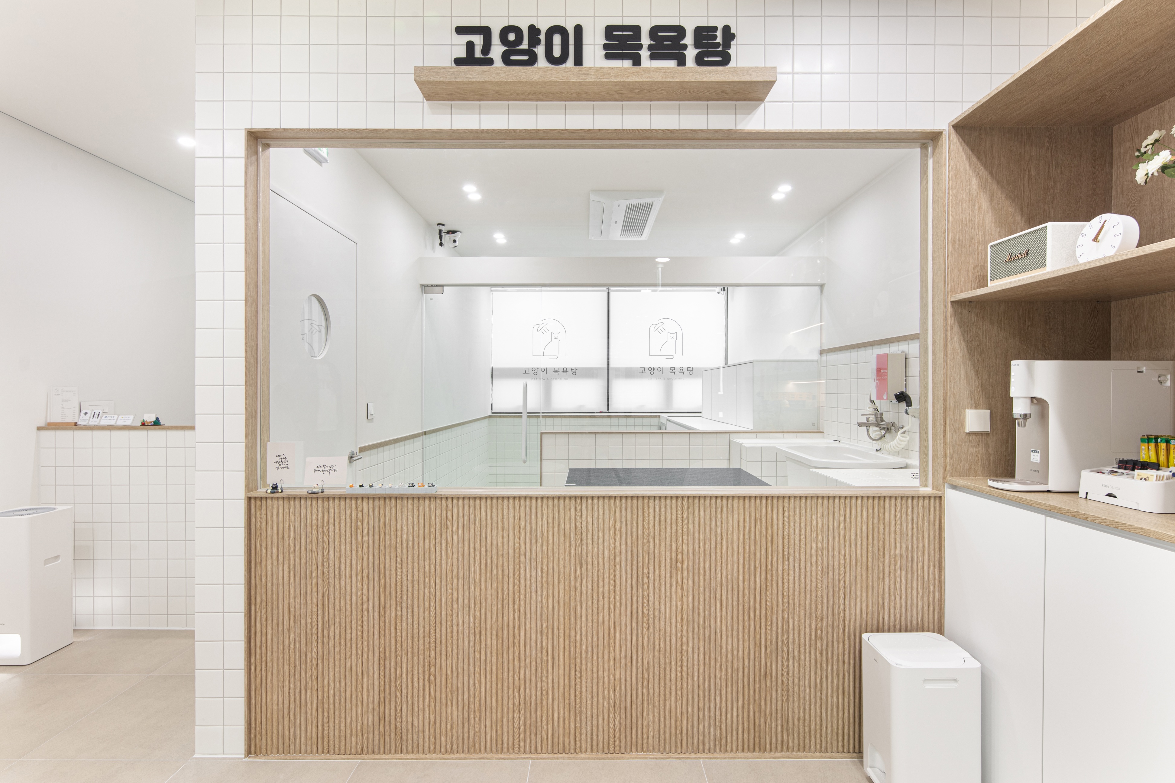 고양이 목욕탕