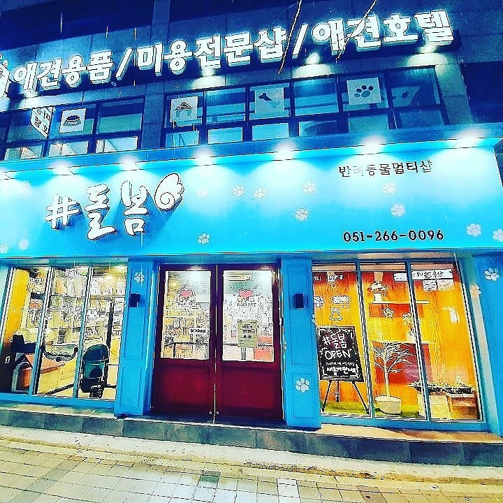 샵돌봄