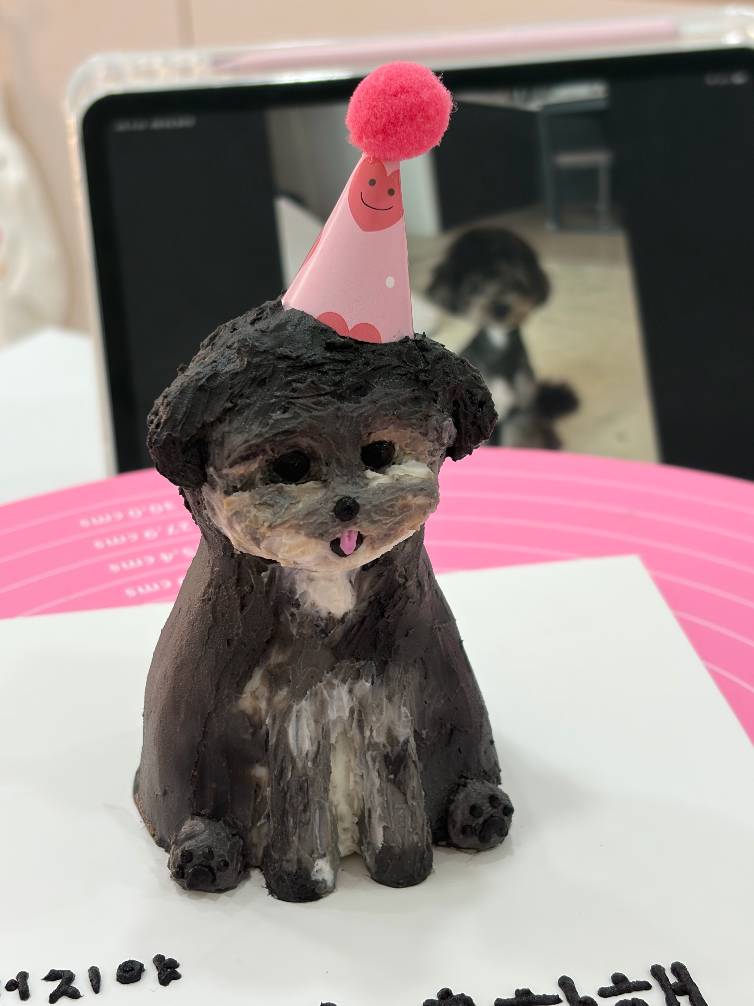 댕뽀까