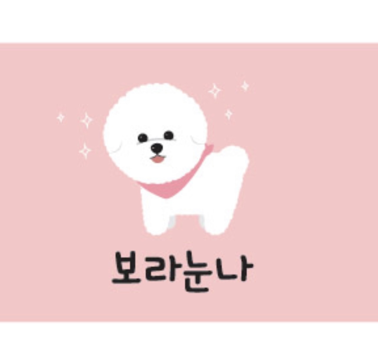 보라눈나