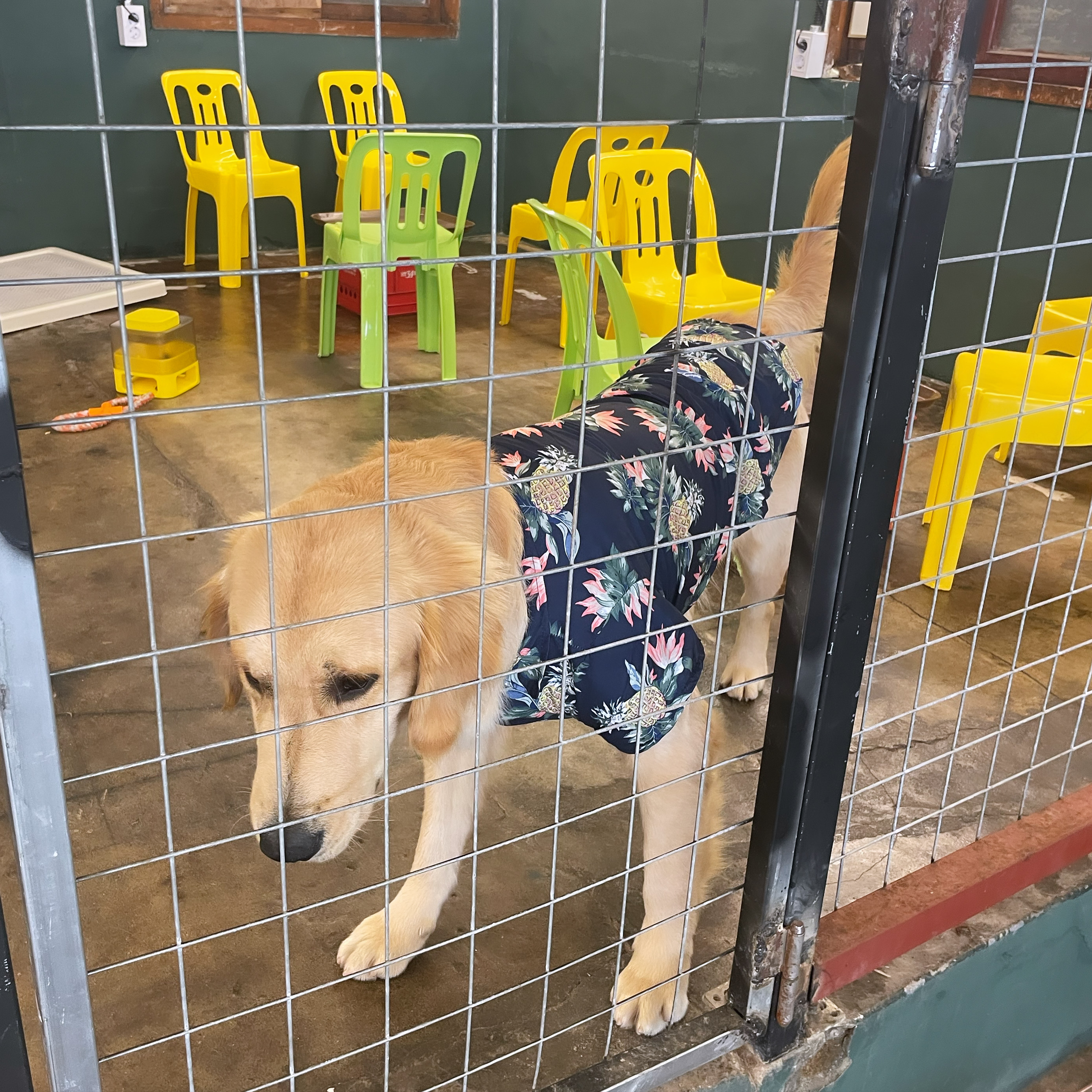 백산커피 이미지