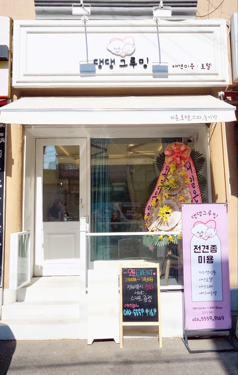 댕댕그루밍