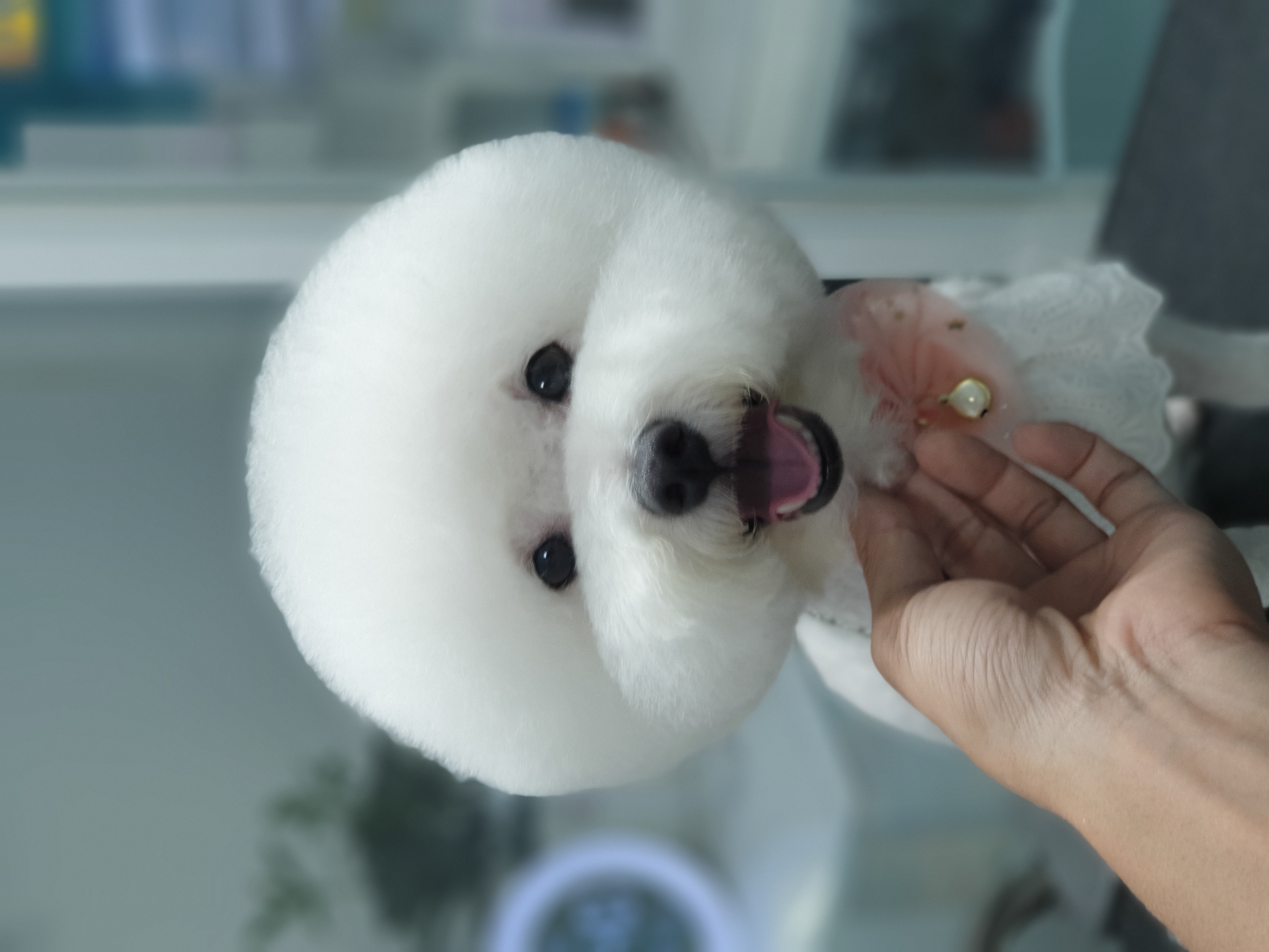그 남자의 grooming # 공간