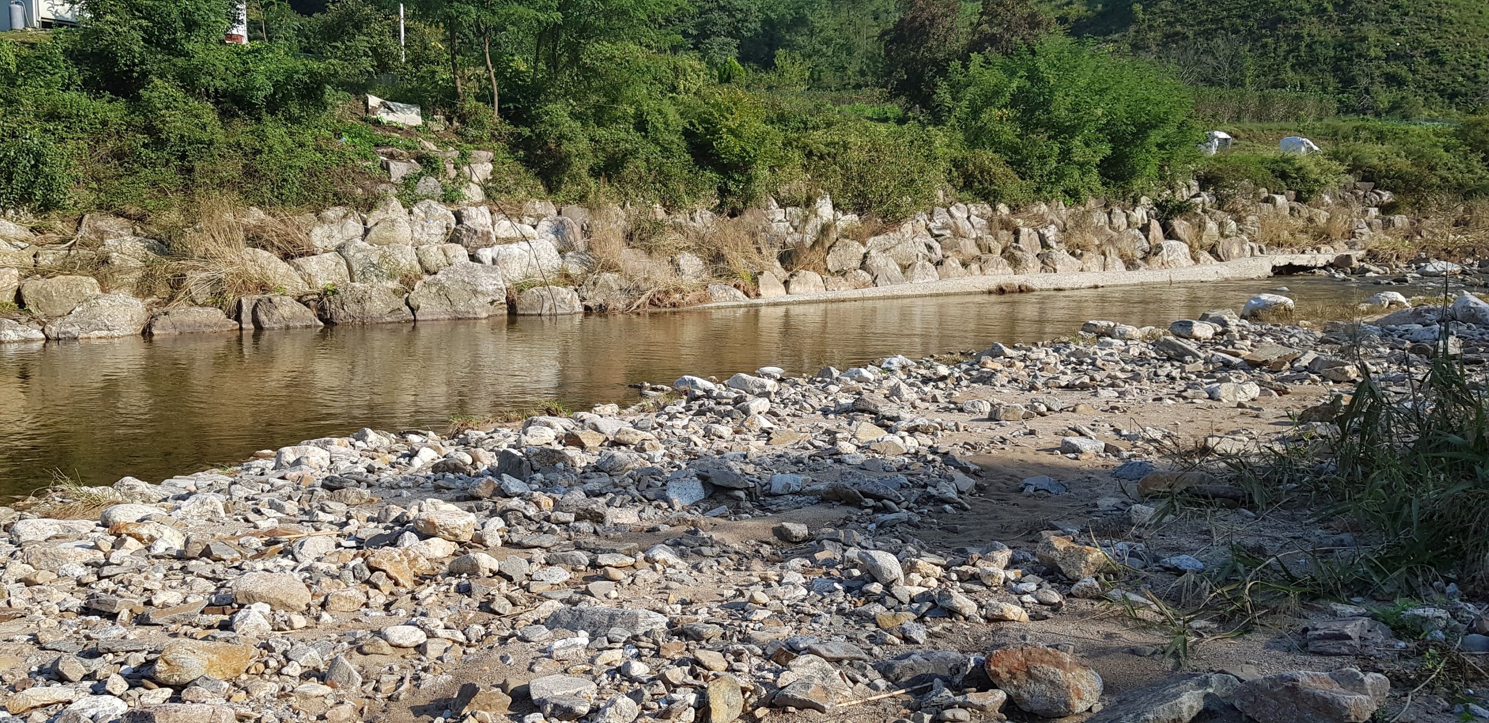 아침 햇살 민박 이미지