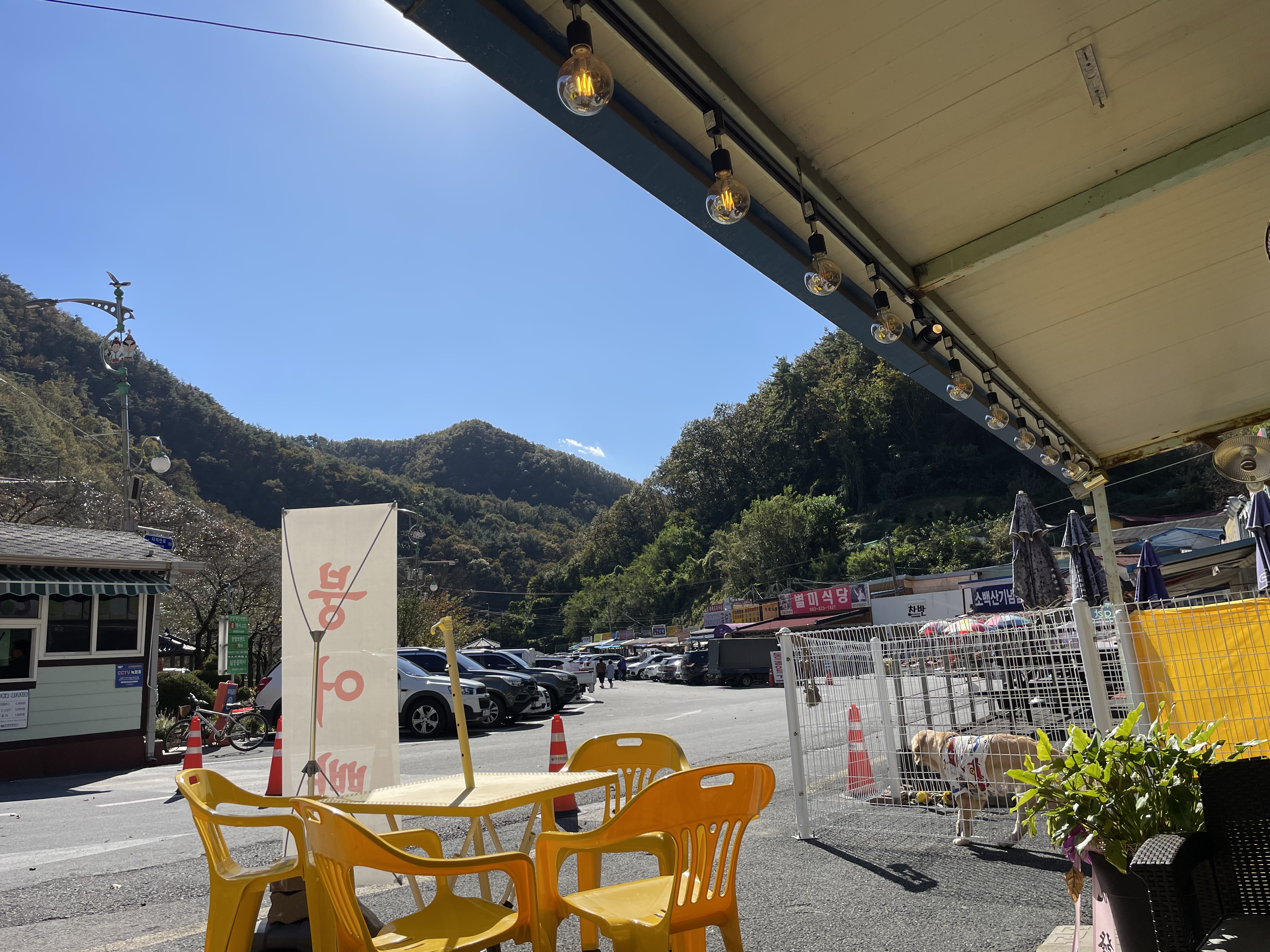 백산커피 이미지