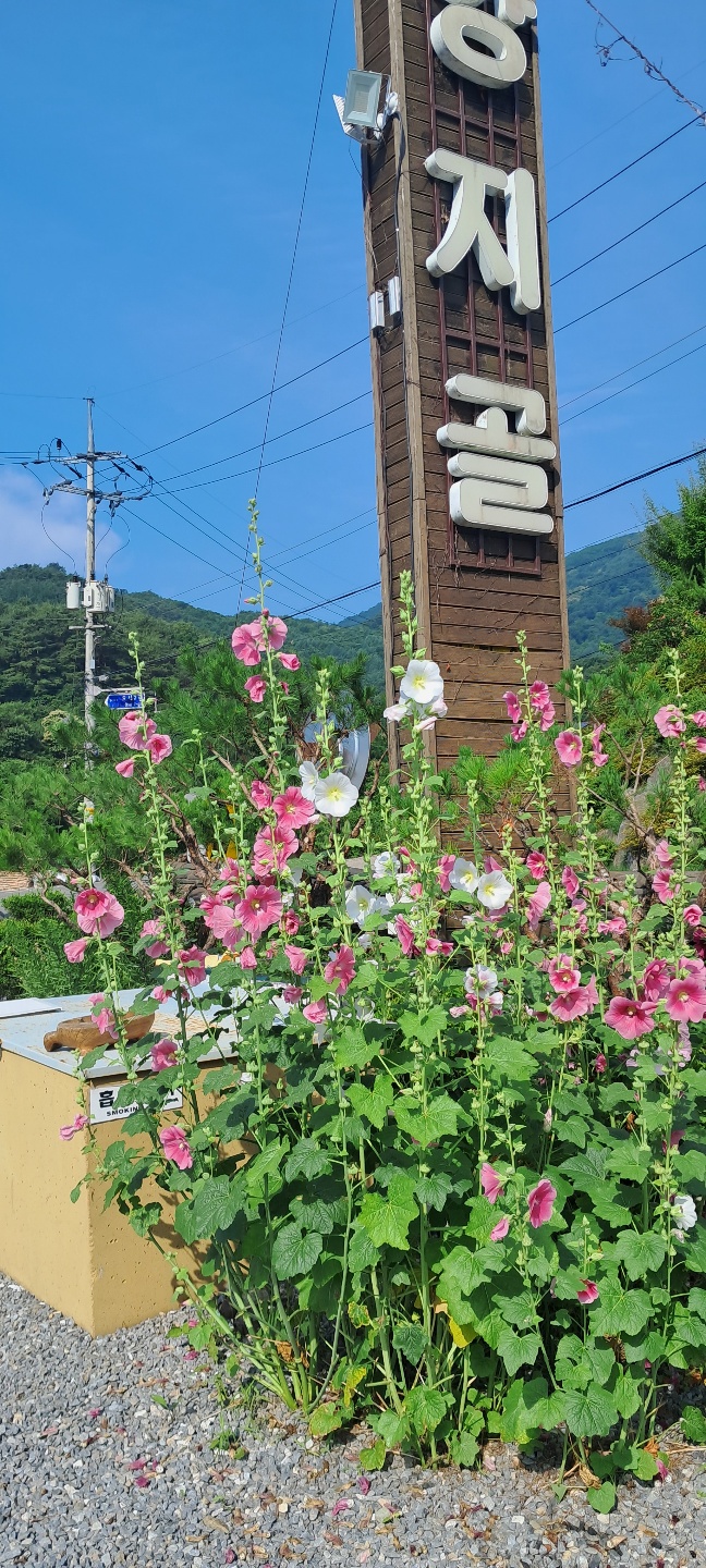 황토방민박 이미지