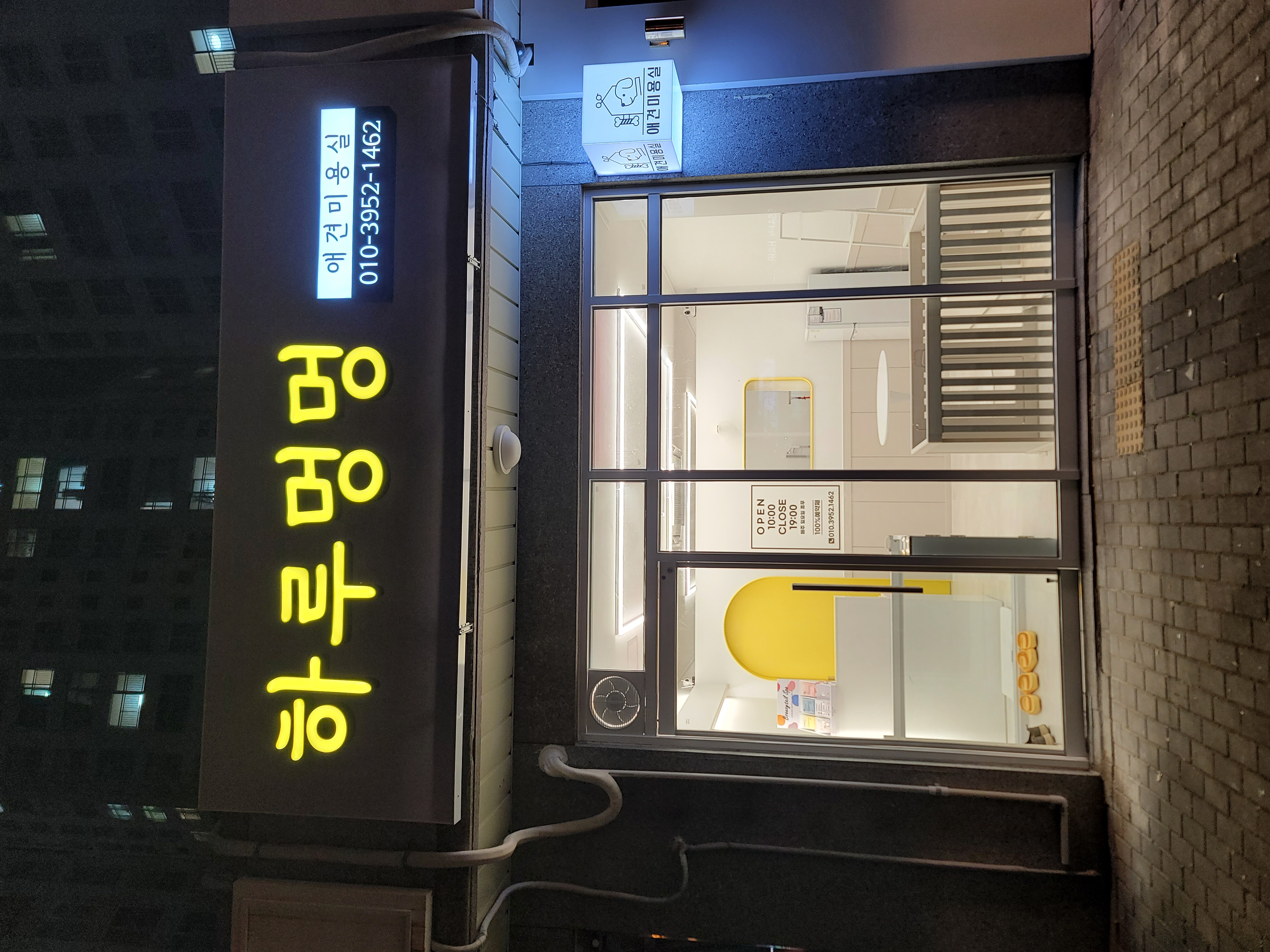 하루멍멍