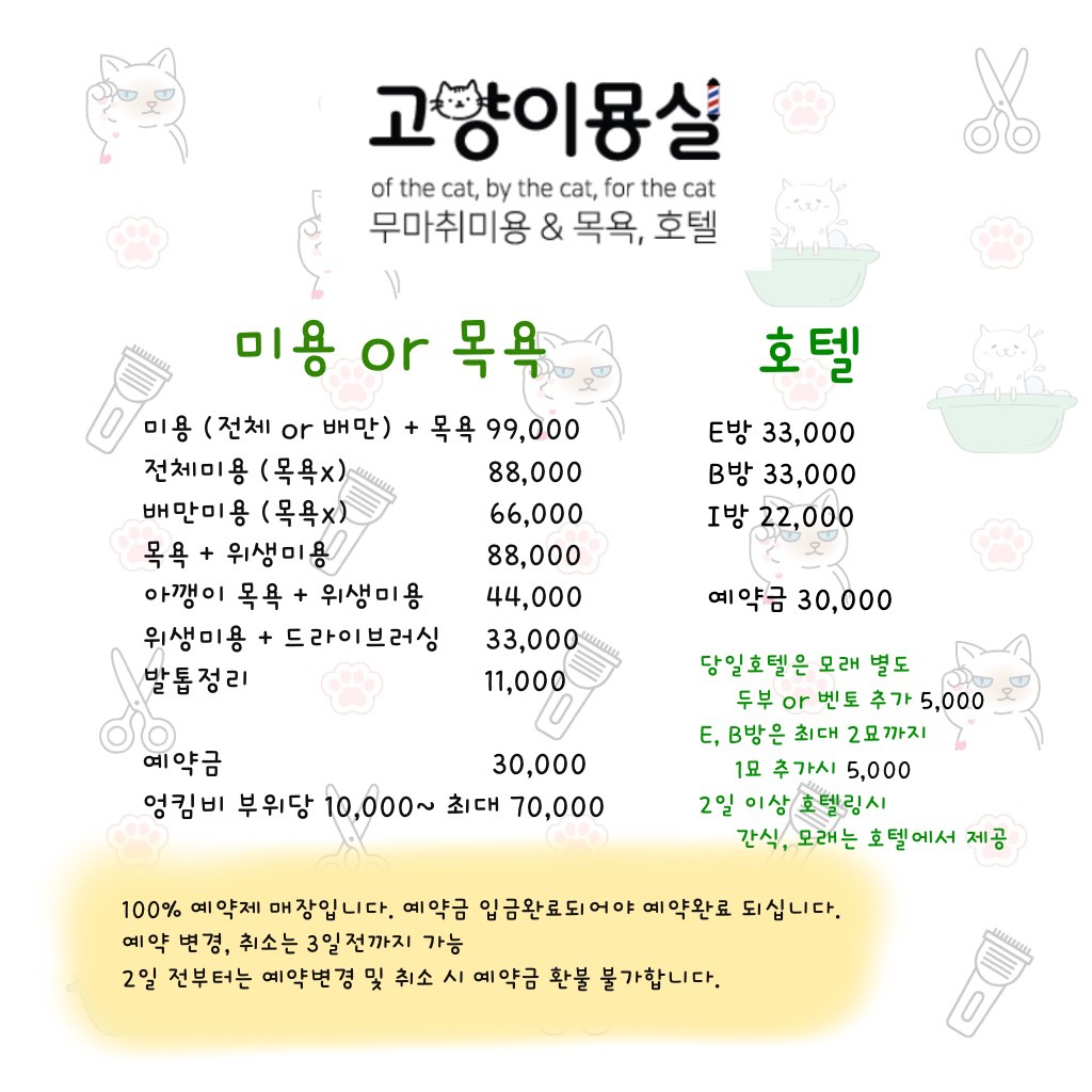 고양이묭실