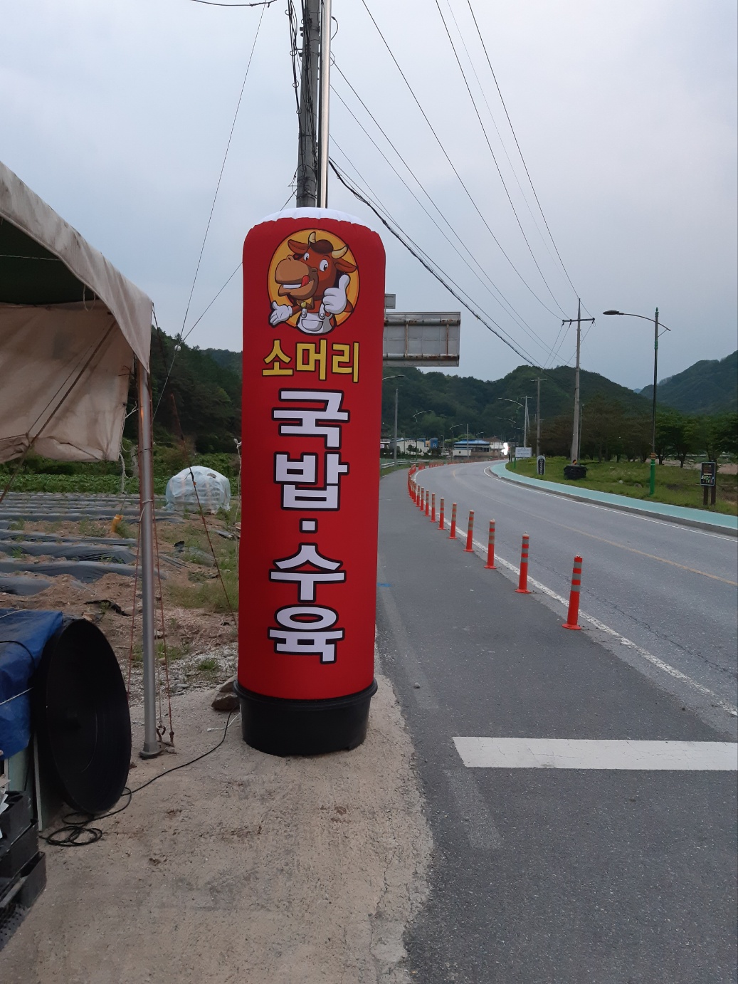 대강맛집 이미지