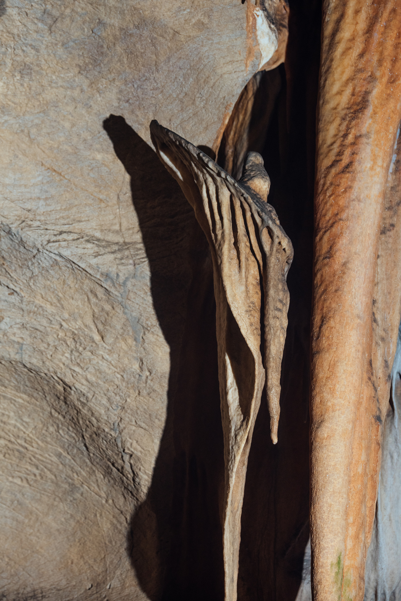 단양 고수동굴 이미지