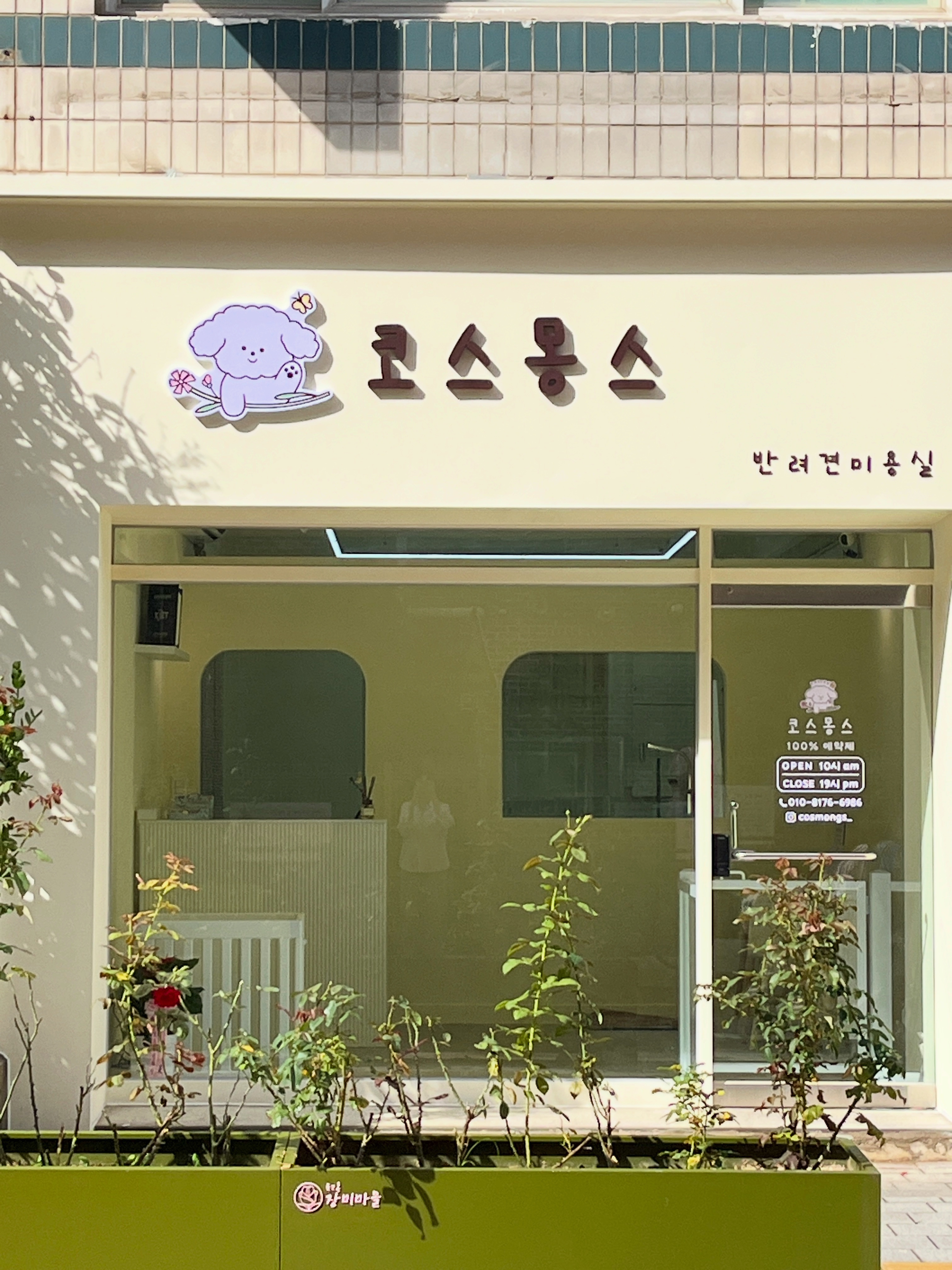 코스몽스